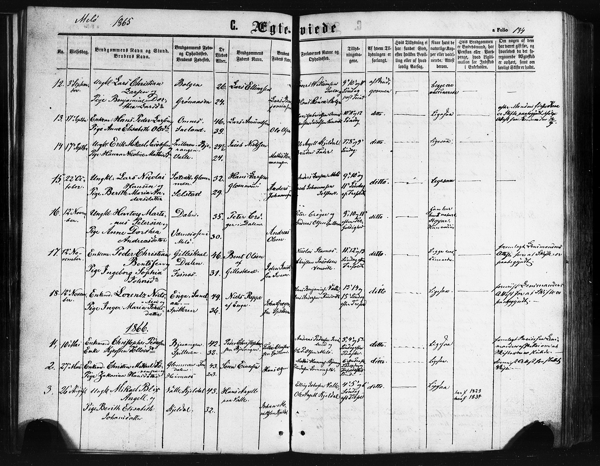 Ministerialprotokoller, klokkerbøker og fødselsregistre - Nordland, AV/SAT-A-1459/841/L0607: Parish register (official) no. 841A11 /2, 1863-1877, p. 134