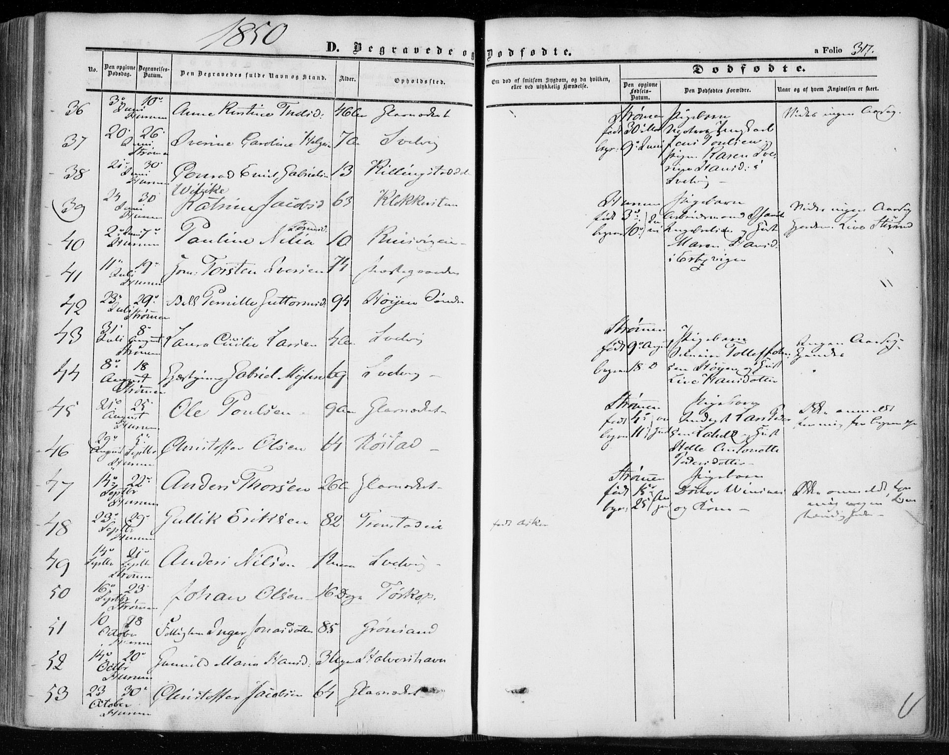 Hurum kirkebøker, AV/SAKO-A-229/F/Fa/L0011: Parish register (official) no. 11, 1847-1860, p. 317