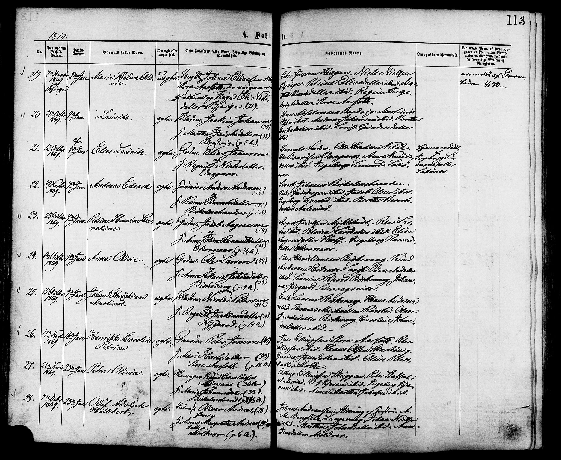 Ministerialprotokoller, klokkerbøker og fødselsregistre - Møre og Romsdal, AV/SAT-A-1454/528/L0399: Parish register (official) no. 528A10, 1864-1879, p. 113