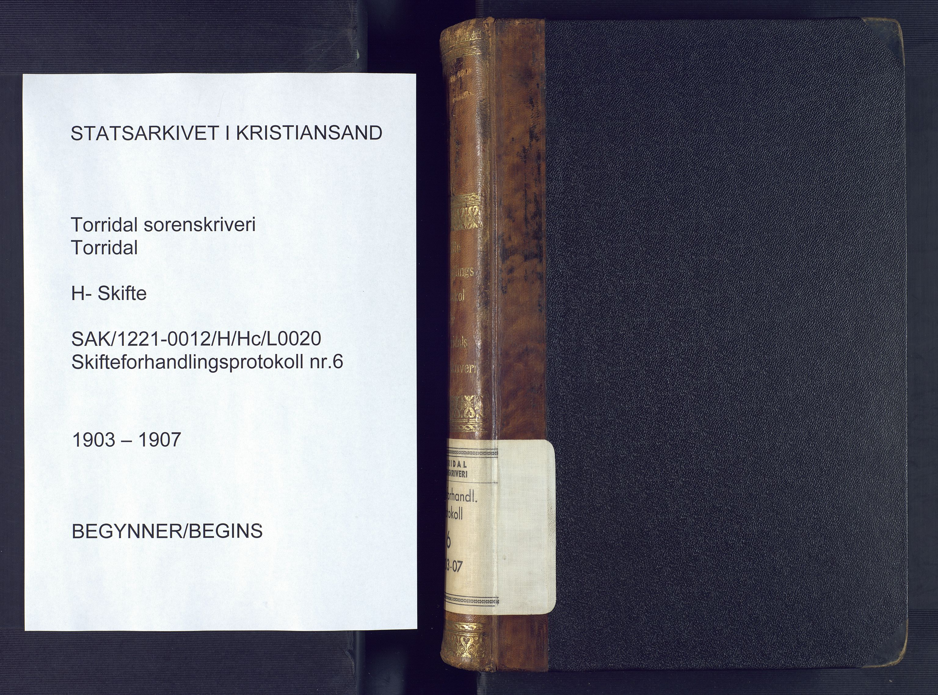 Torridal sorenskriveri, AV/SAK-1221-0012/H/Hc/L0020: Skifteforhandlingsprotokoll med navneregister nr. 6, 1903-1907