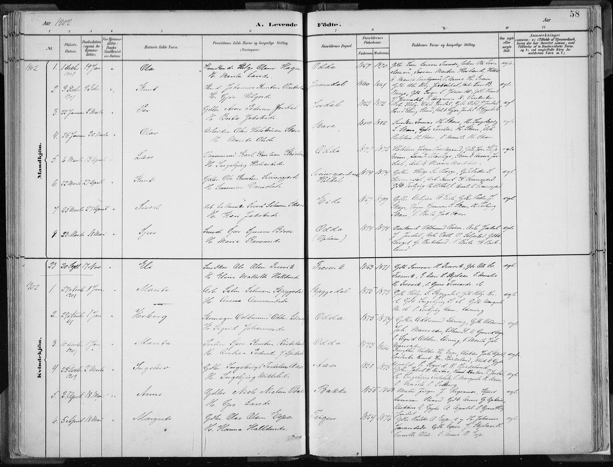Odda Sokneprestembete, SAB/A-77201/H/Haa: Parish register (official) no. A  3, 1882-1913, p. 58
