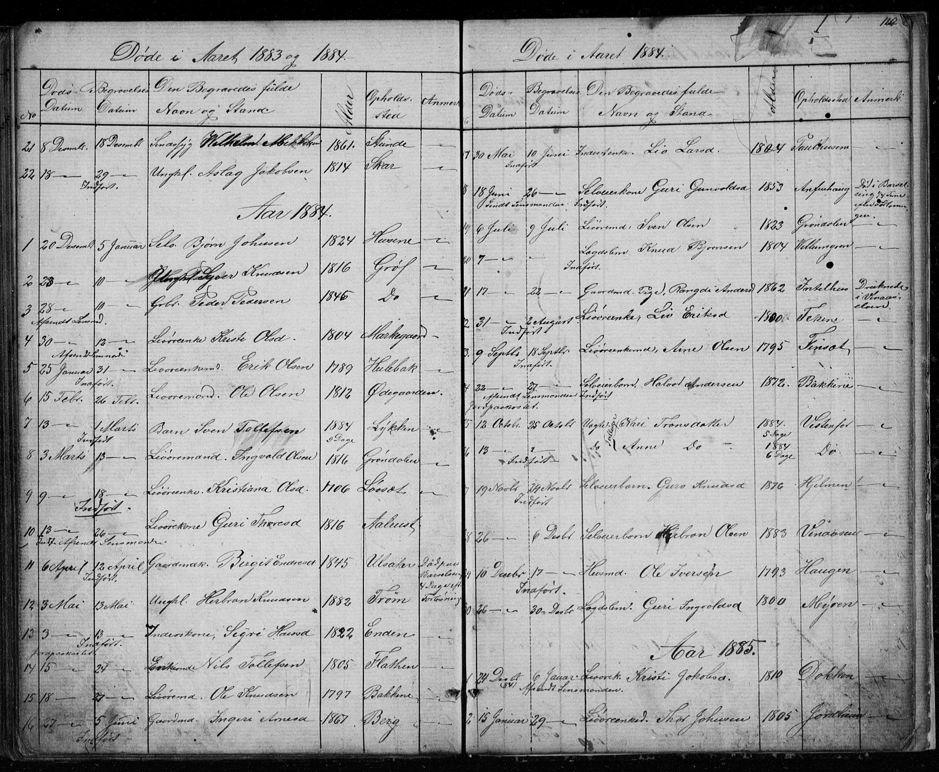 Gol kirkebøker, AV/SAKO-A-226/G/Gb/L0005: Parish register (copy) no. II 5, 1875-1891, p. 120