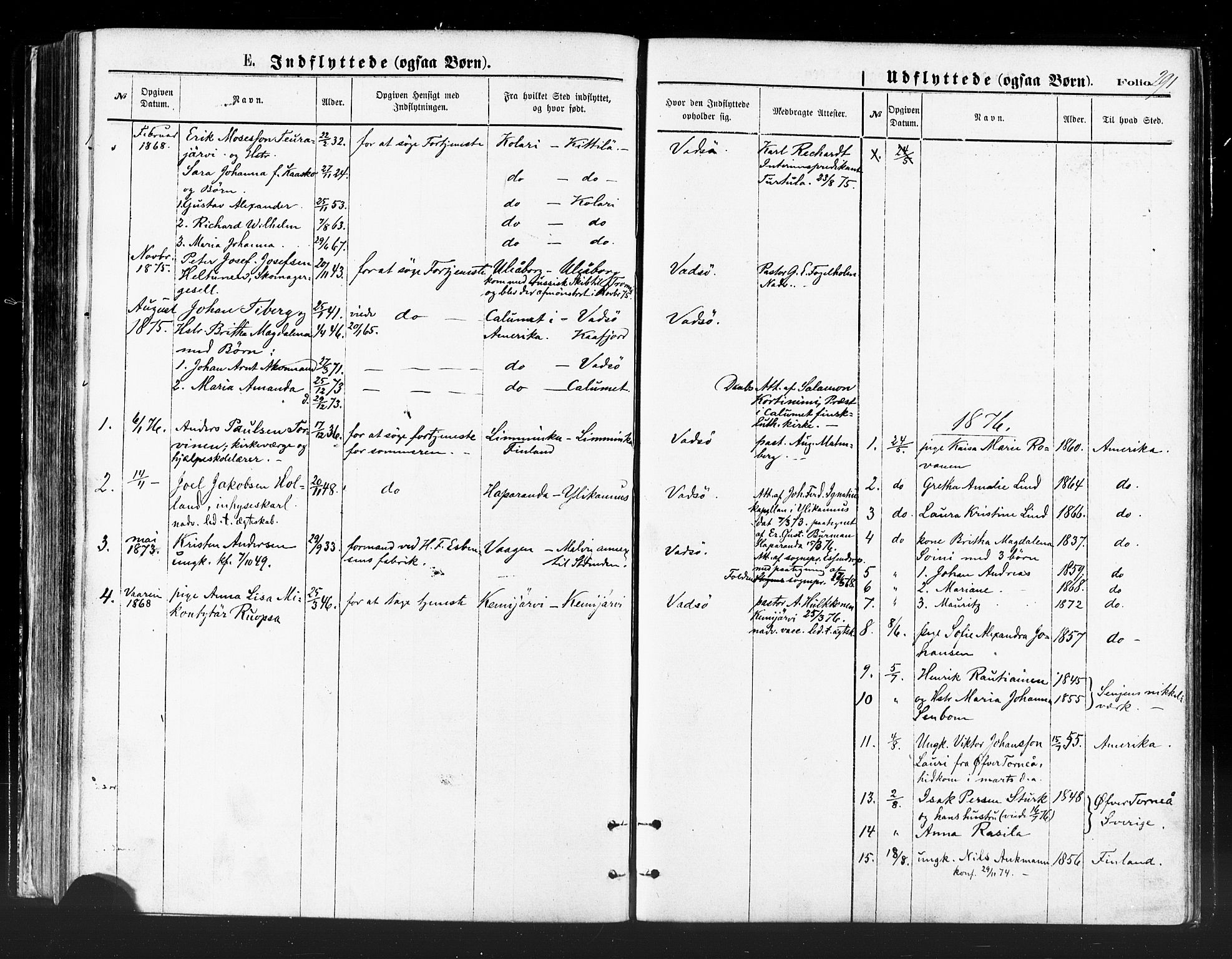 Vadsø sokneprestkontor, AV/SATØ-S-1325/H/Ha/L0005kirke: Parish register (official) no. 5, 1873-1884, p. 291