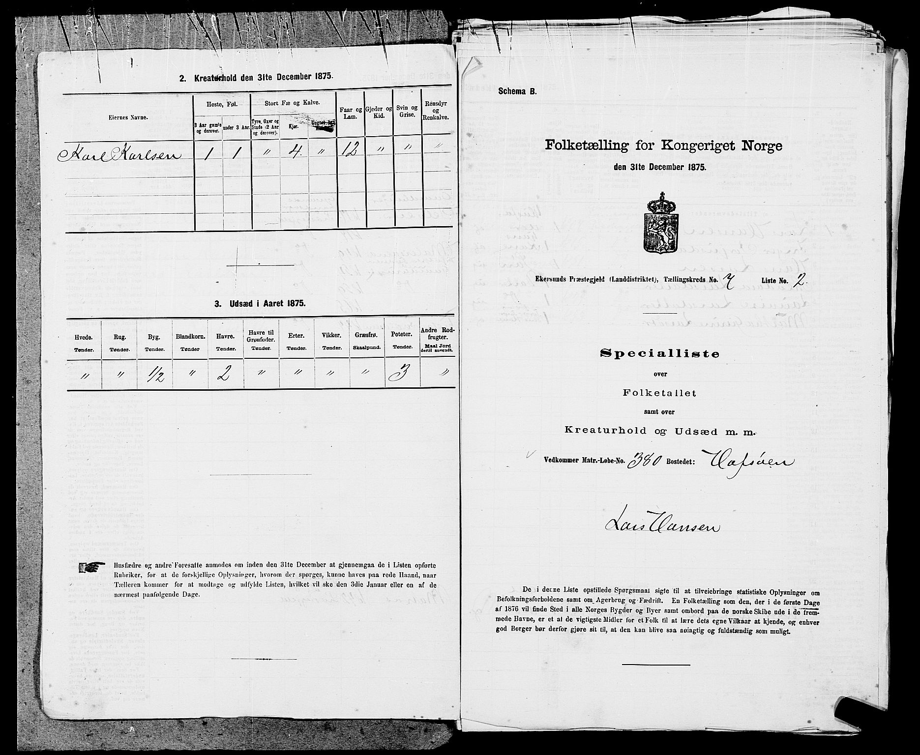 SAST, 1875 census for 1116L Eigersund/Eigersund og Ogna, 1875, p. 732