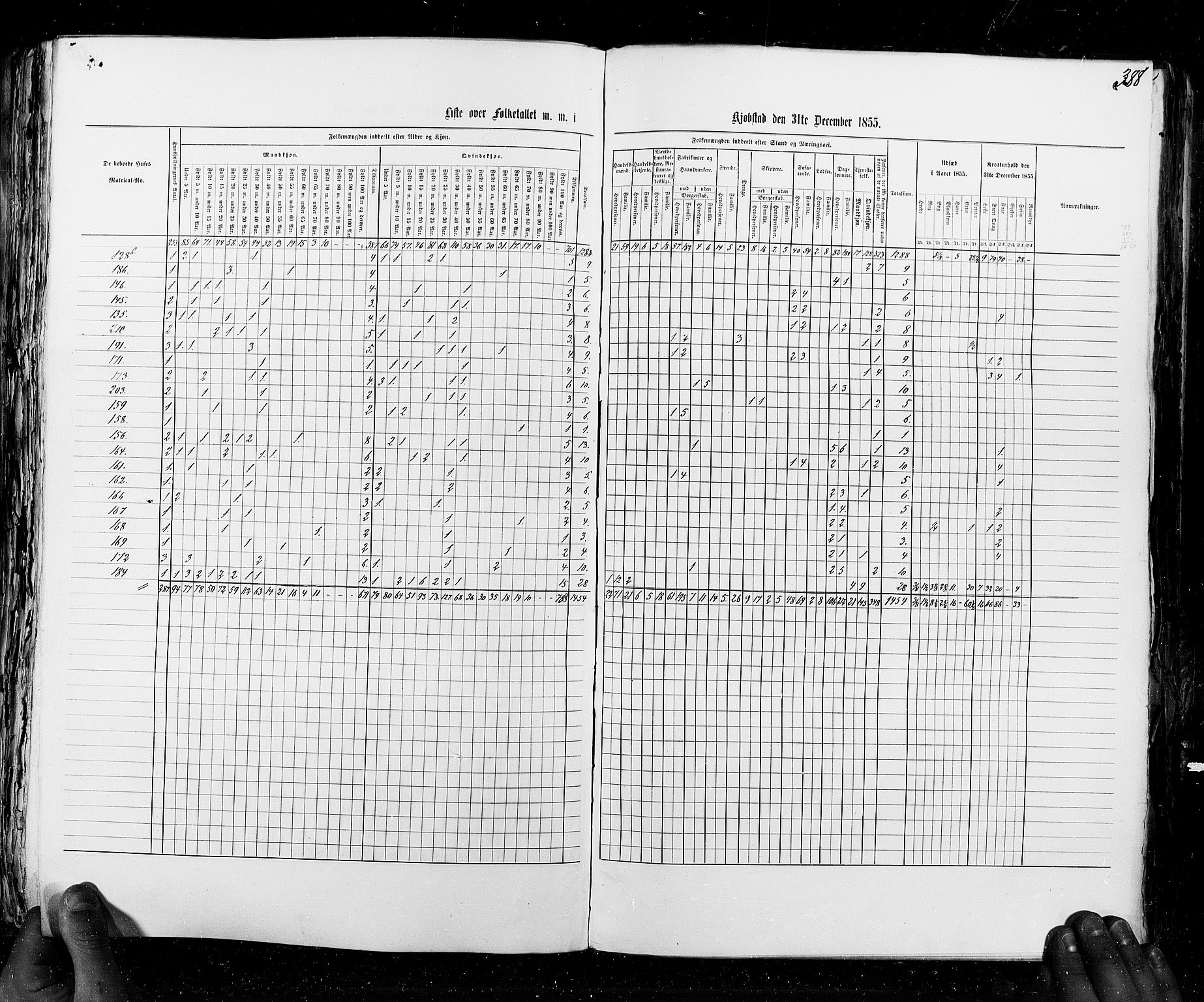 RA, Census 1855, vol. 8: Risør-Vadsø, 1855, p. 388