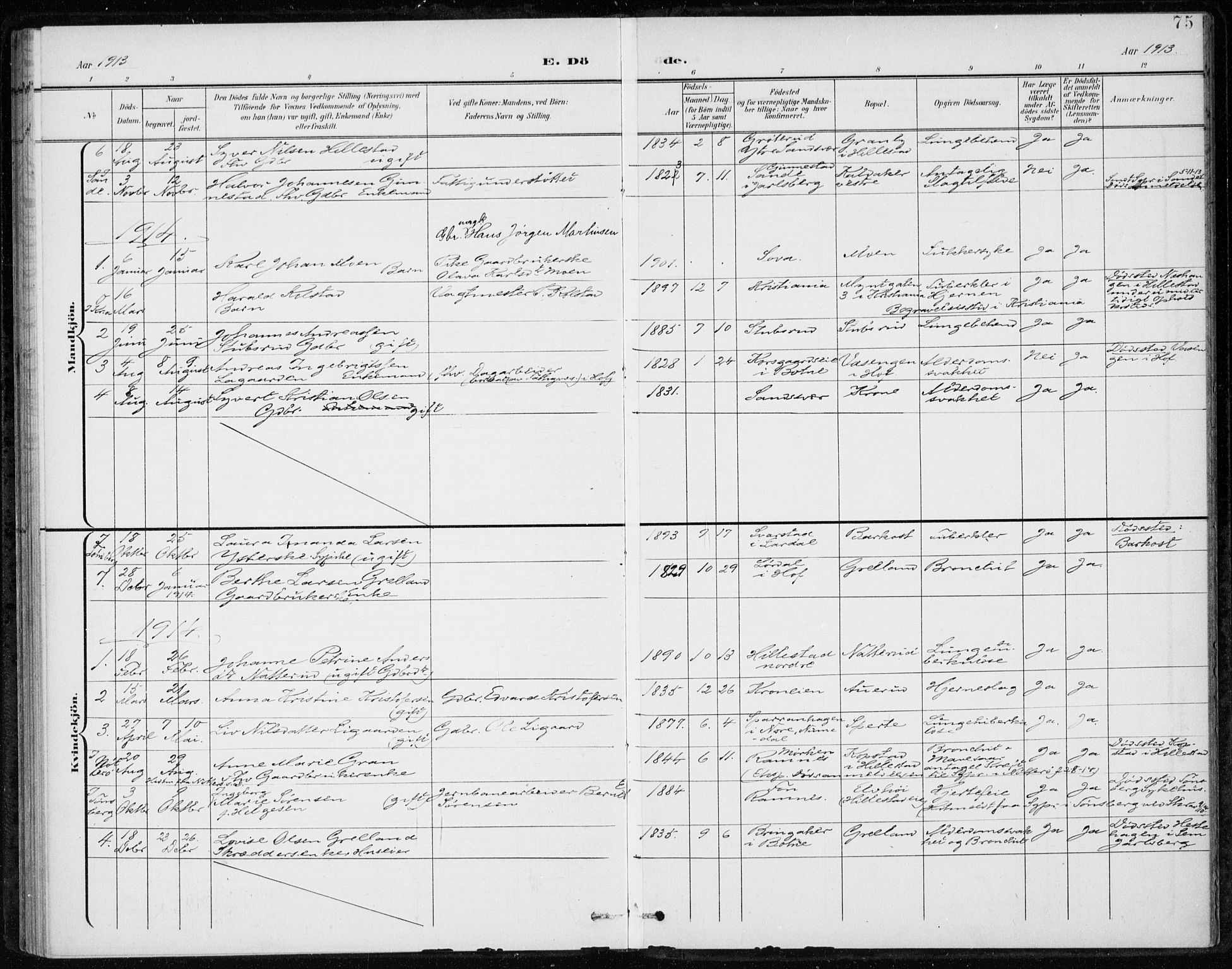 Botne kirkebøker, SAKO/A-340/F/Fb/L0002: Parish register (official) no. II 2, 1902-1915, p. 75