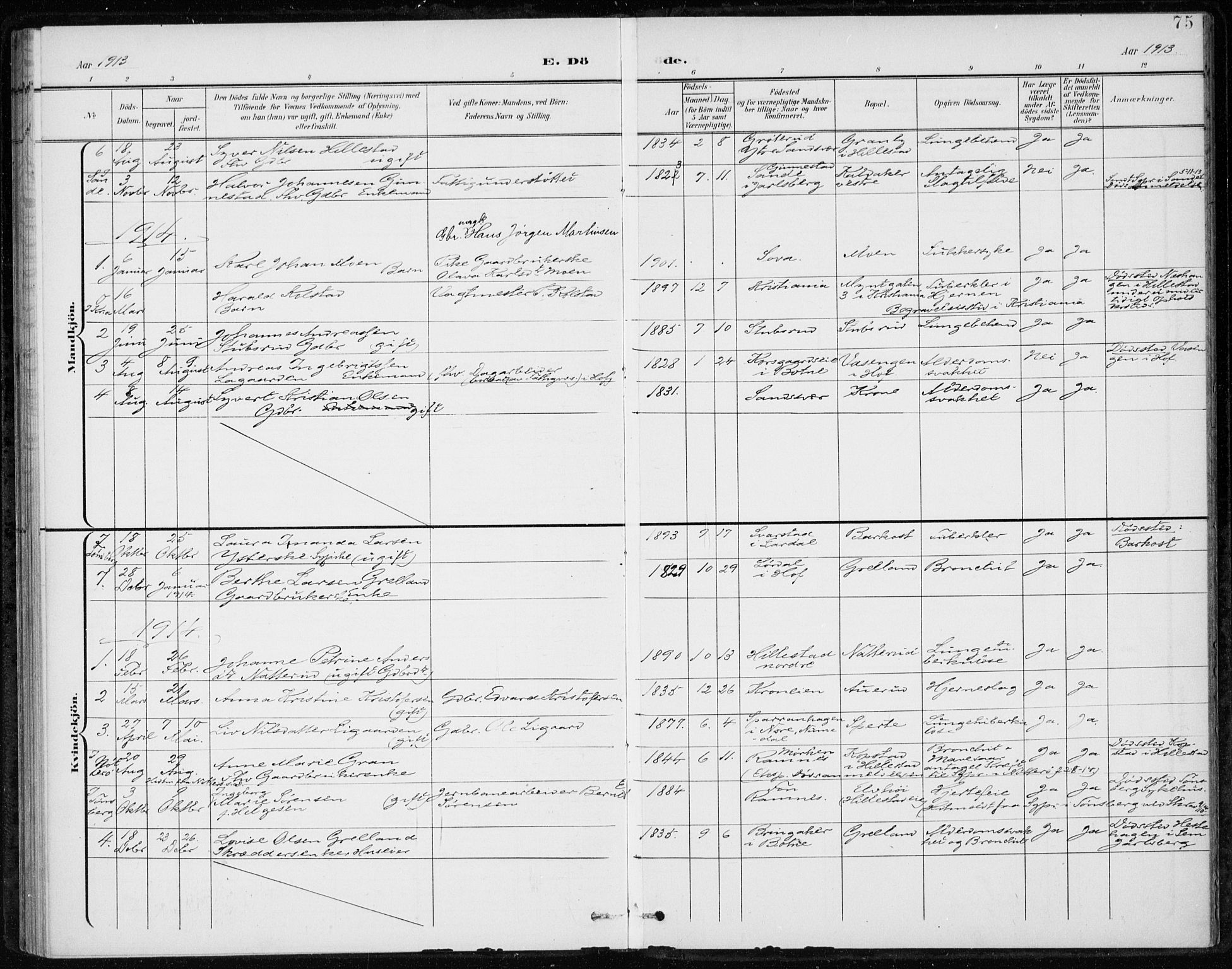 Botne kirkebøker, AV/SAKO-A-340/F/Fb/L0002: Parish register (official) no. II 2, 1902-1915, p. 75