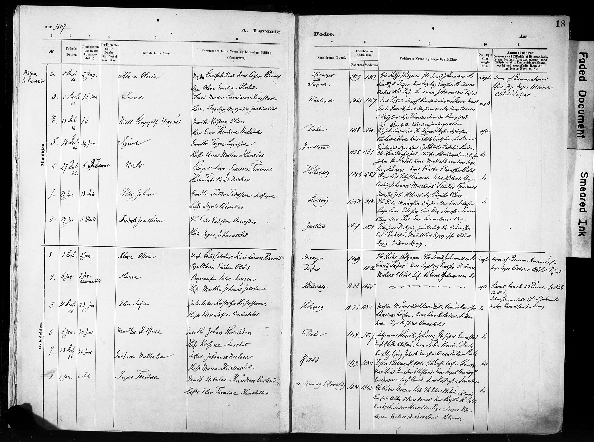 Hetland sokneprestkontor, SAST/A-101826/30/30BA/L0011: Parish register (official) no. A 11, 1884-1911, p. 18