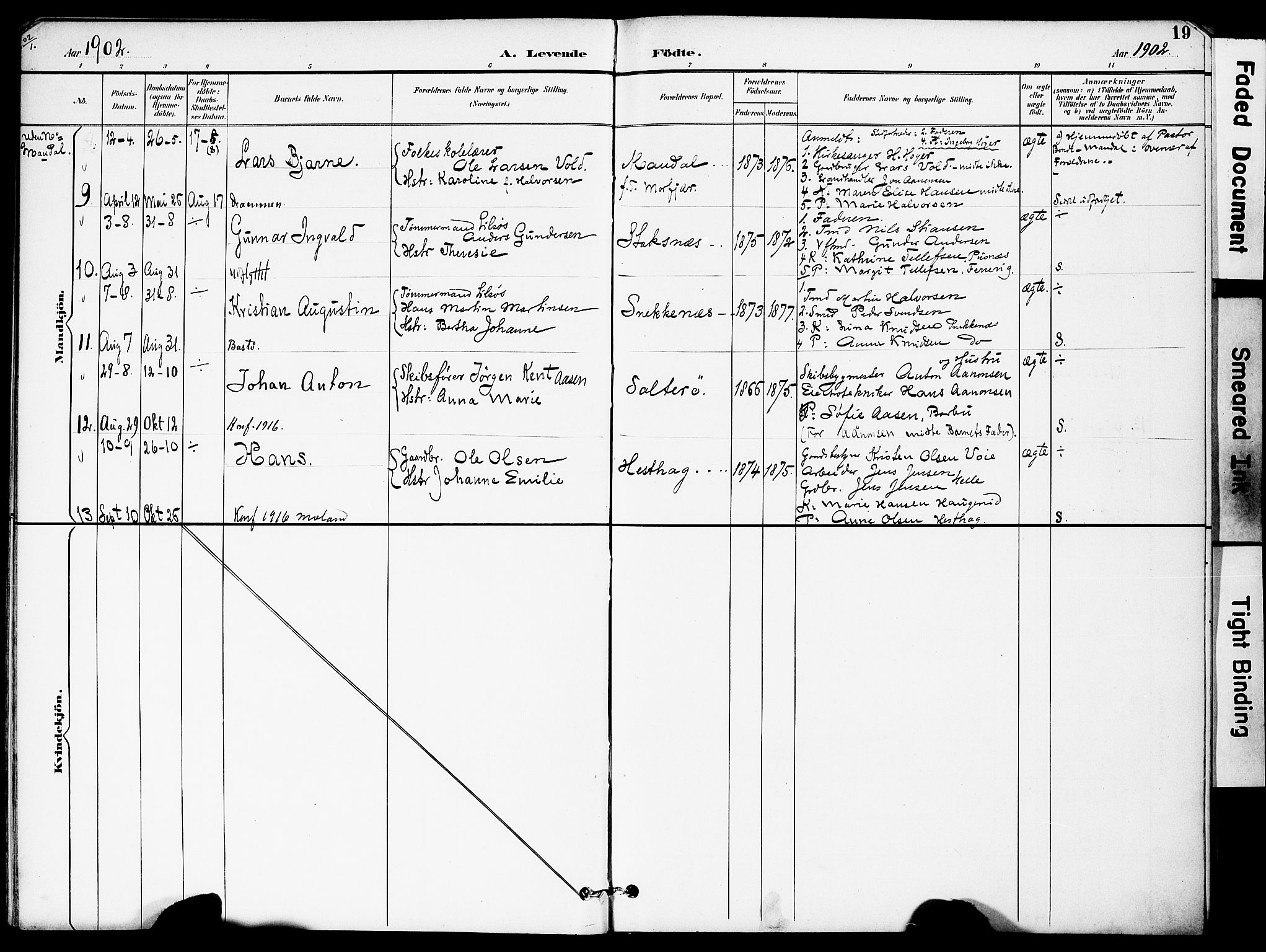 Austre Moland sokneprestkontor, AV/SAK-1111-0001/F/Fa/Fab/L0002: Parish register (official) no. A 2, 1894-1919, p. 19