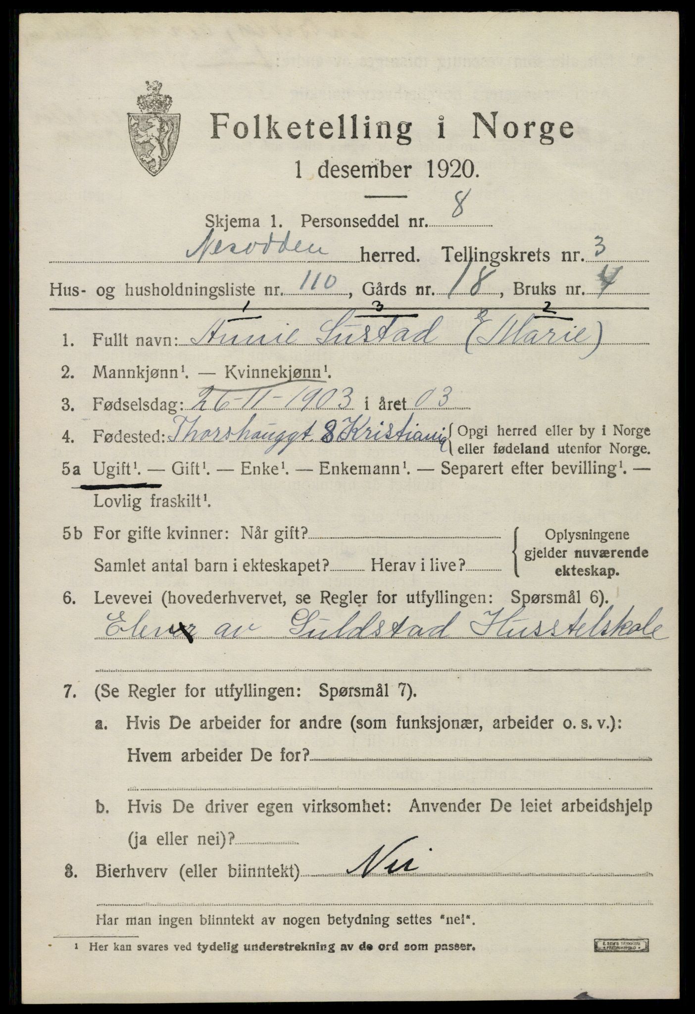 SAO, 1920 census for Nesodden, 1920, p. 3753