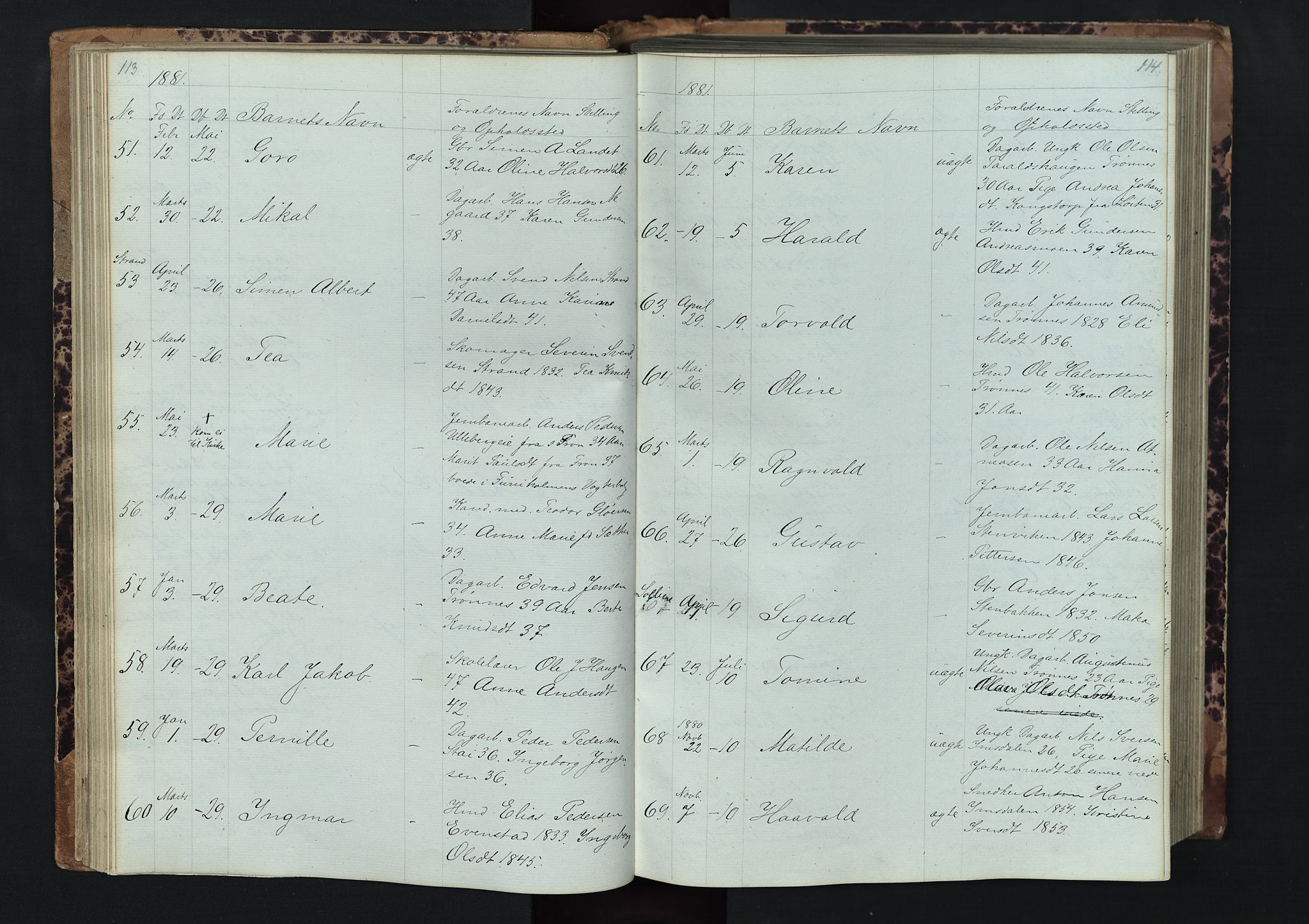 Stor-Elvdal prestekontor, AV/SAH-PREST-052/H/Ha/Hab/L0001: Parish register (copy) no. 1 /1, 1860-1894, p. 113-114