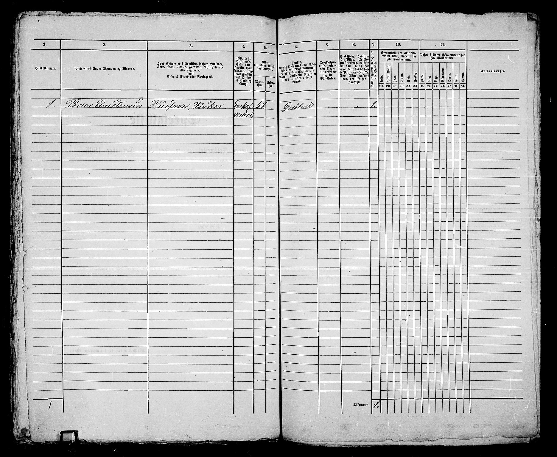 RA, 1865 census for Drøbak/Drøbak, 1865, p. 374