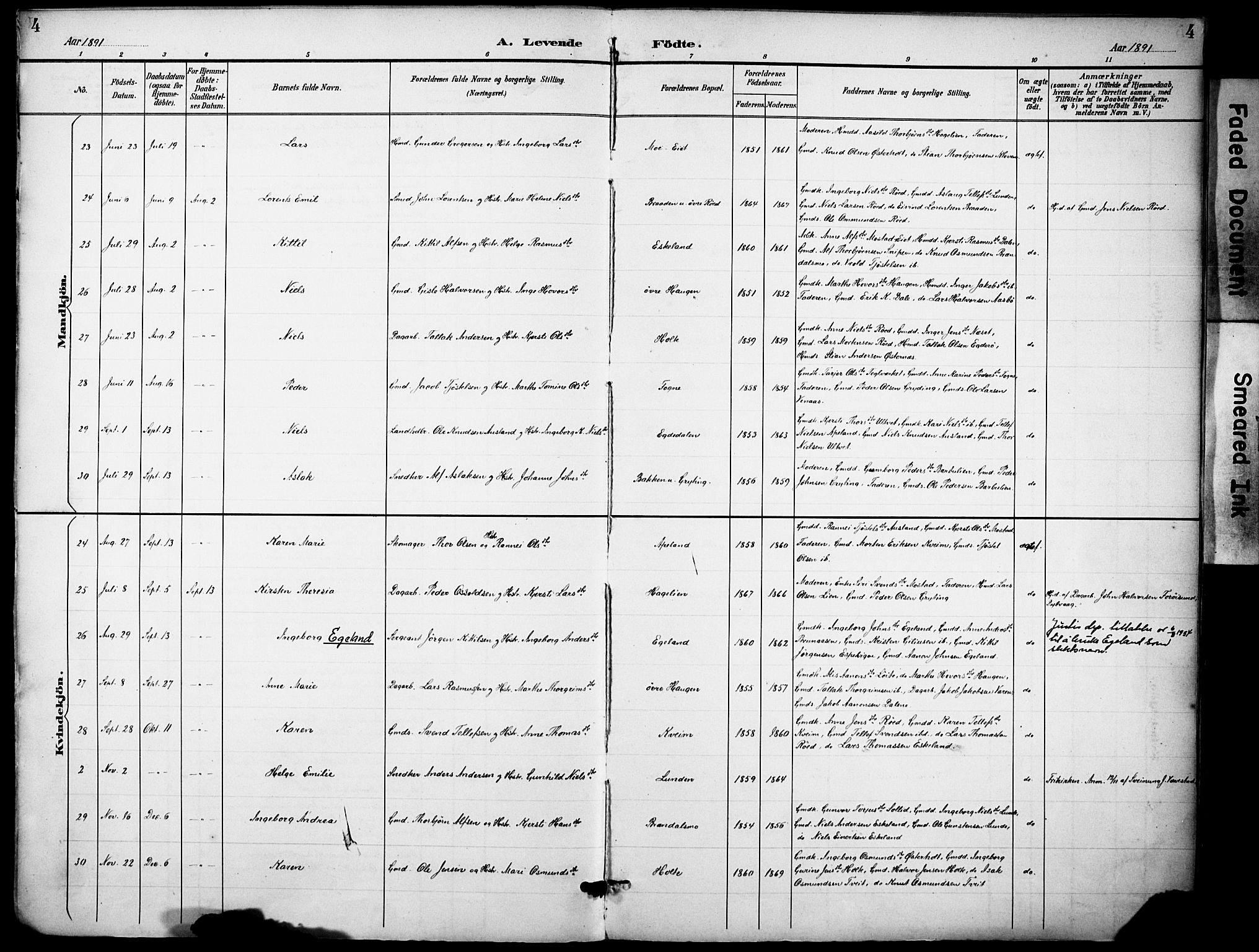 Gjerstad sokneprestkontor, AV/SAK-1111-0014/F/Fa/Faa/L0010: Parish register (official) no. A 10, 1891-1902, p. 4