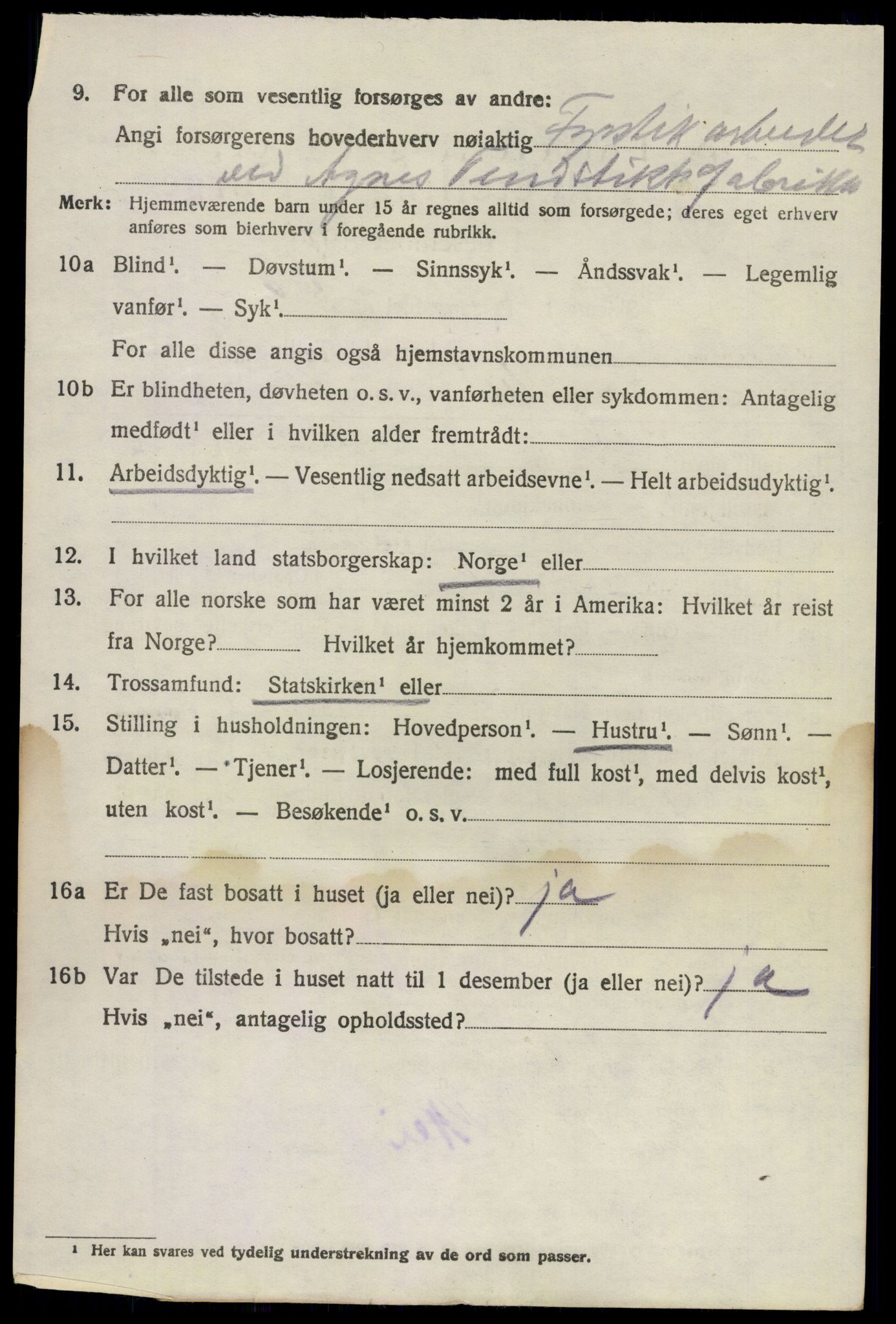 SAKO, 1920 census for Brunlanes, 1920, p. 6094