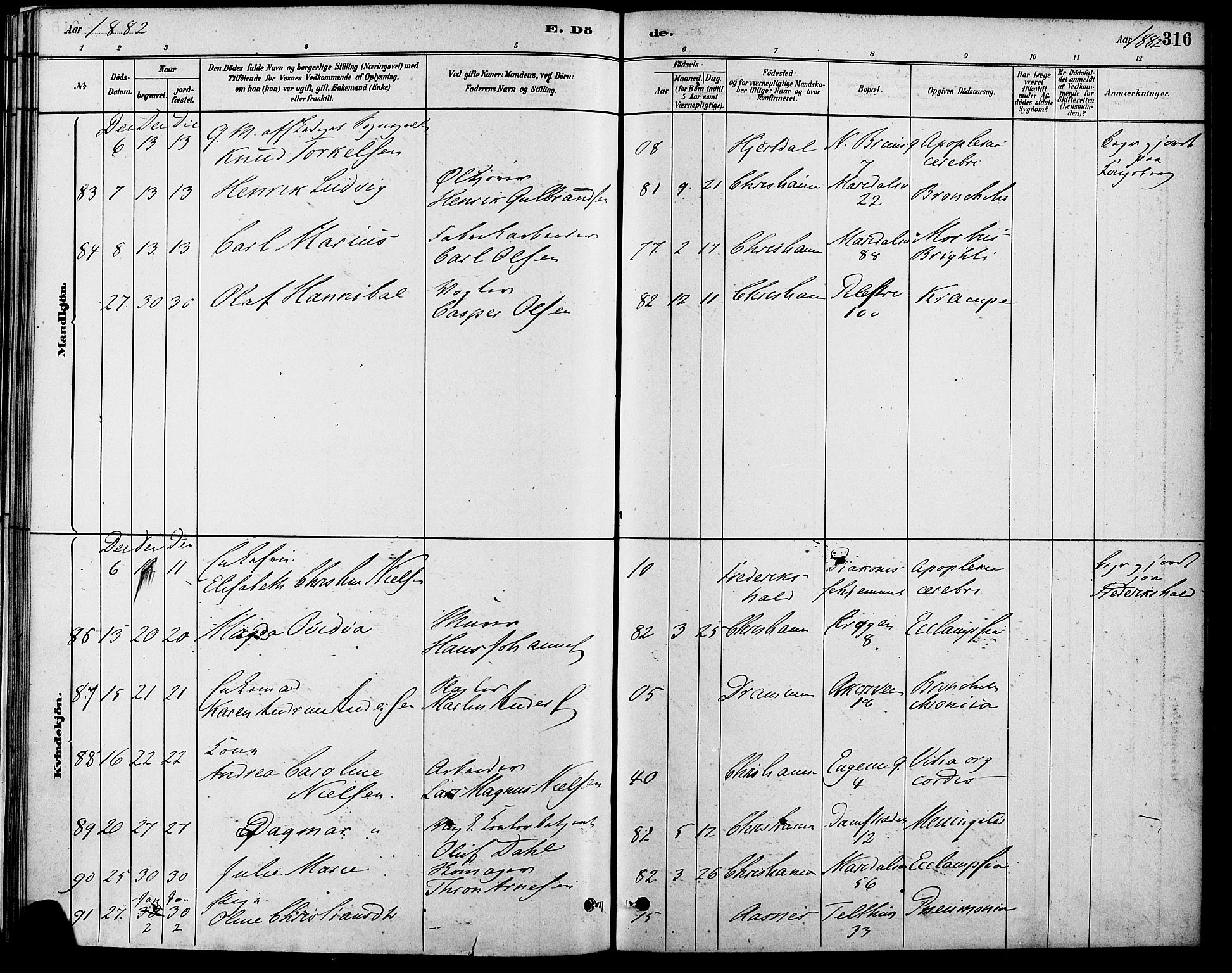 Gamle Aker prestekontor Kirkebøker, AV/SAO-A-10617a/F/L0006: Parish register (official) no. 6, 1880-1887, p. 316