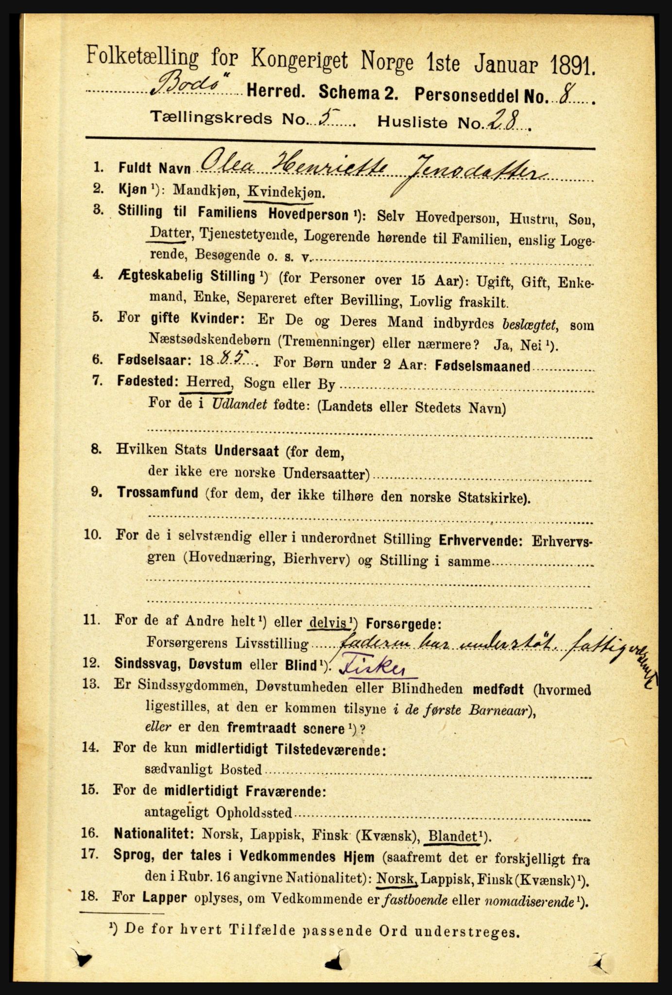 RA, 1891 census for 1843 Bodø, 1891, p. 3343