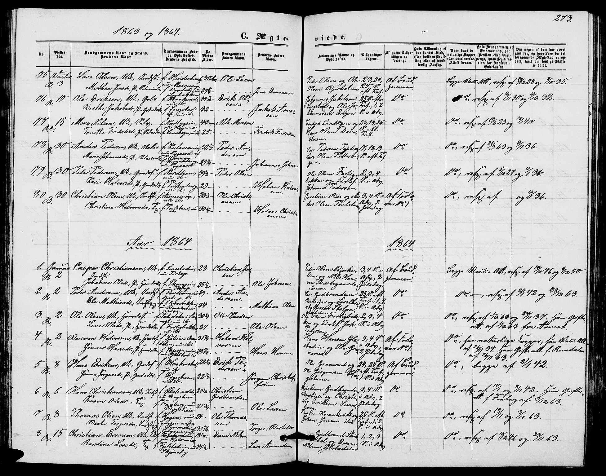 Ringsaker prestekontor, AV/SAH-PREST-014/L/La/L0007: Parish register (copy) no. 7, 1861-1869, p. 273