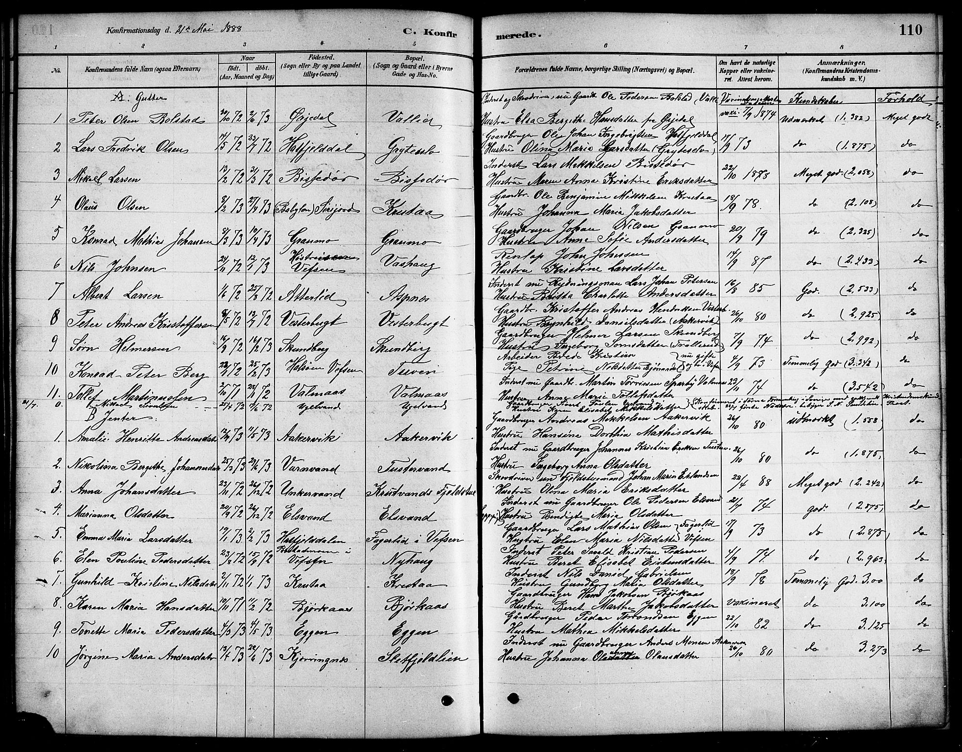 Ministerialprotokoller, klokkerbøker og fødselsregistre - Nordland, SAT/A-1459/823/L0330: Parish register (copy) no. 823C02, 1879-1916, p. 110