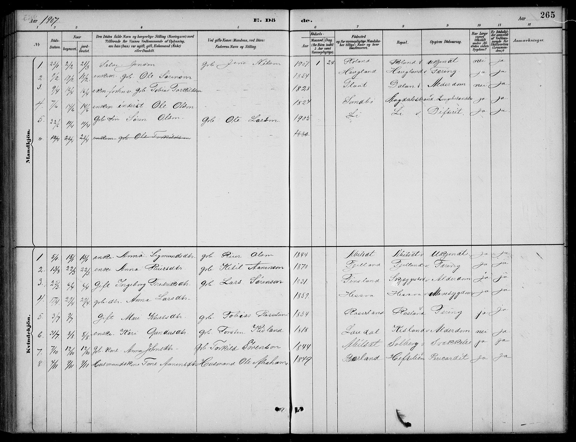 Bjelland sokneprestkontor, SAK/1111-0005/F/Fb/Fba/L0005: Parish register (copy) no. B 5, 1887-1923, p. 265