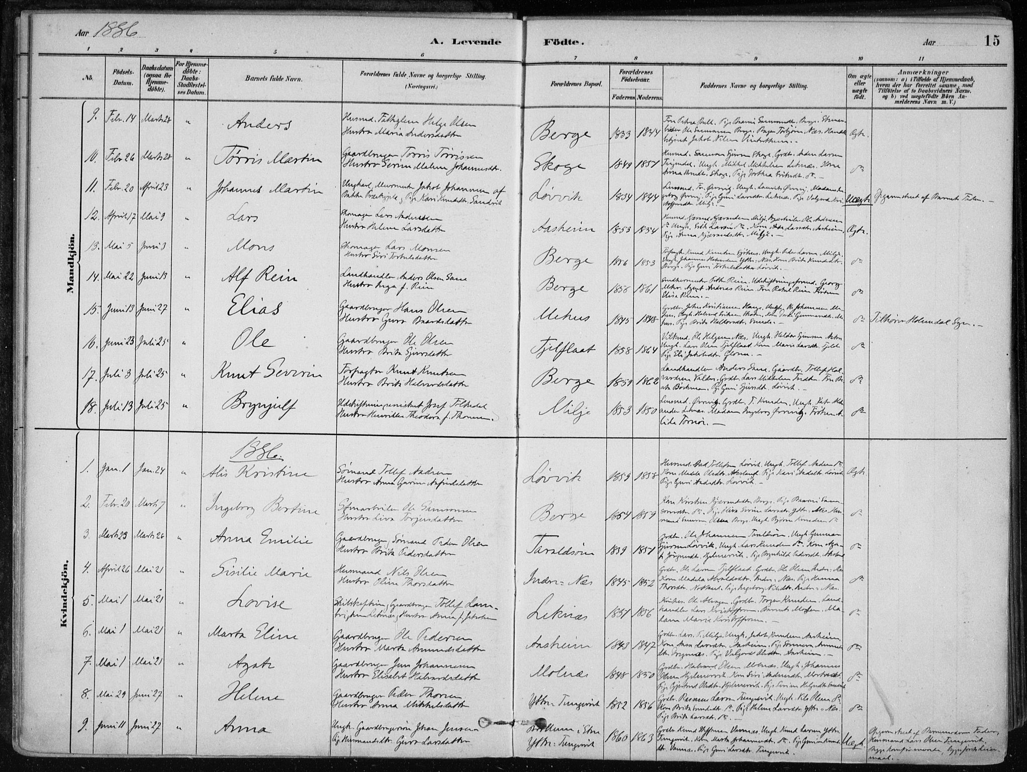 Skånevik sokneprestembete, SAB/A-77801/H/Haa: Parish register (official) no. B 1, 1879-1914, p. 15