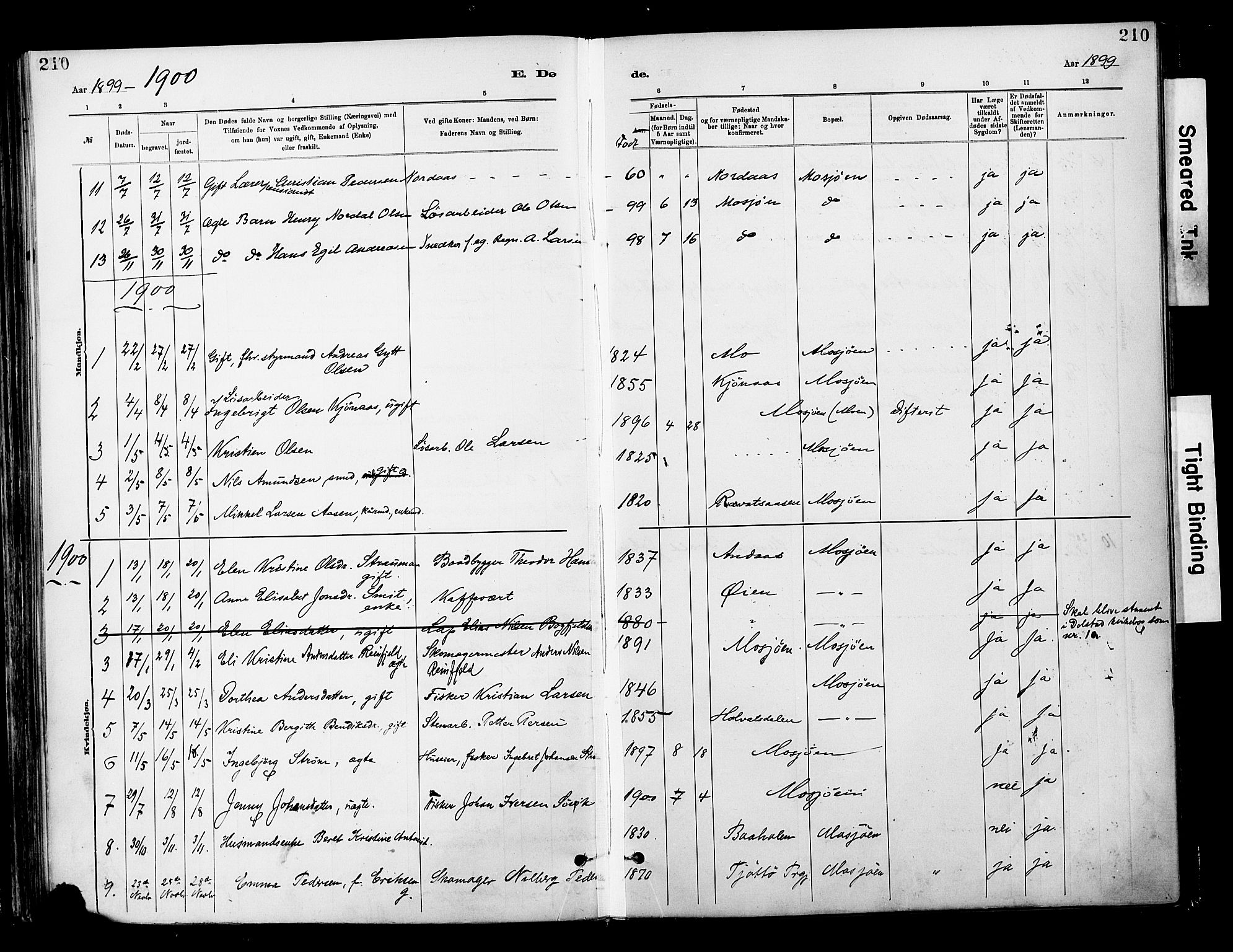 Ministerialprotokoller, klokkerbøker og fødselsregistre - Nordland, AV/SAT-A-1459/820/L0296: Parish register (official) no. 820A17, 1880-1903, p. 210