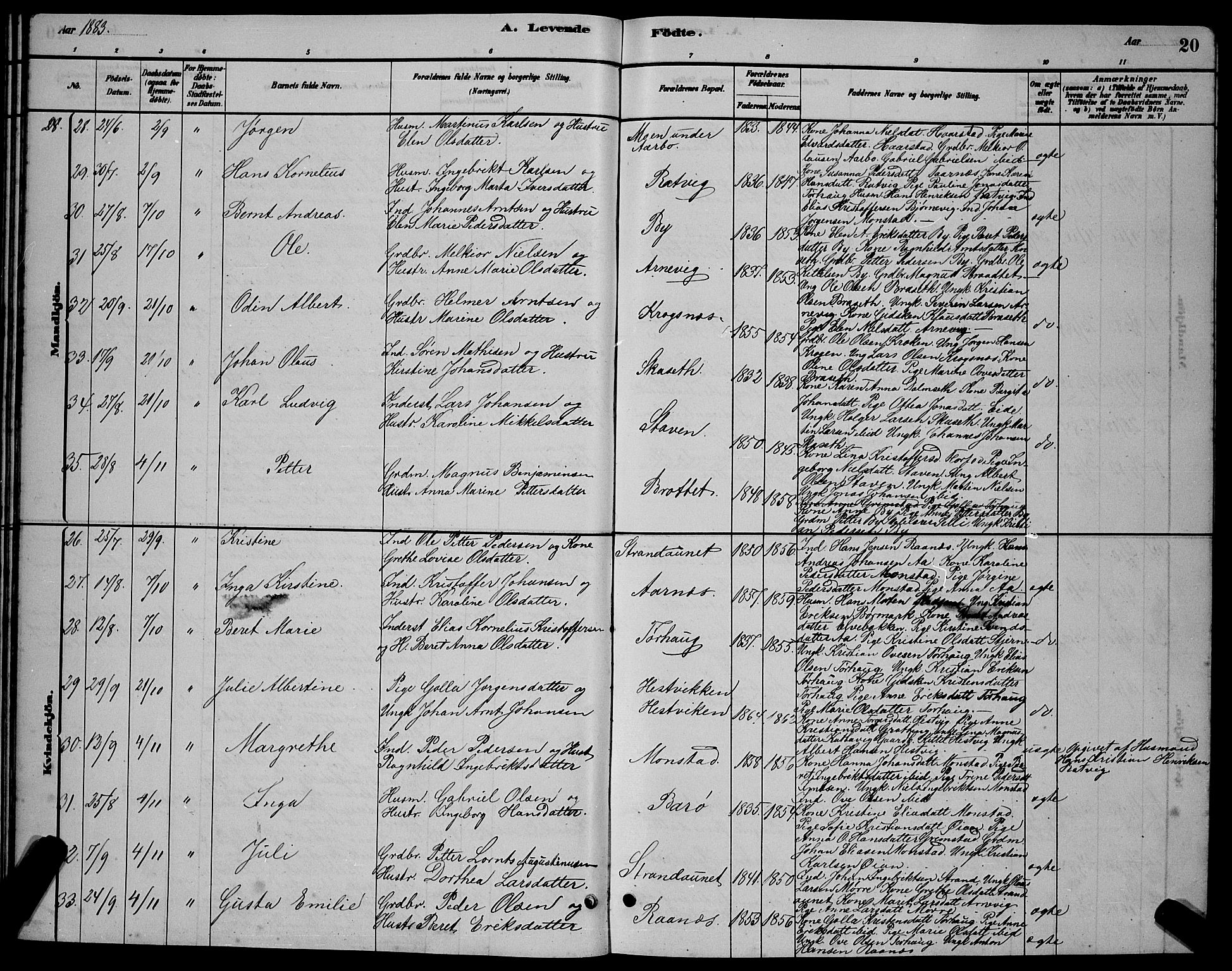 Ministerialprotokoller, klokkerbøker og fødselsregistre - Sør-Trøndelag, SAT/A-1456/655/L0687: Parish register (copy) no. 655C03, 1880-1898, p. 20