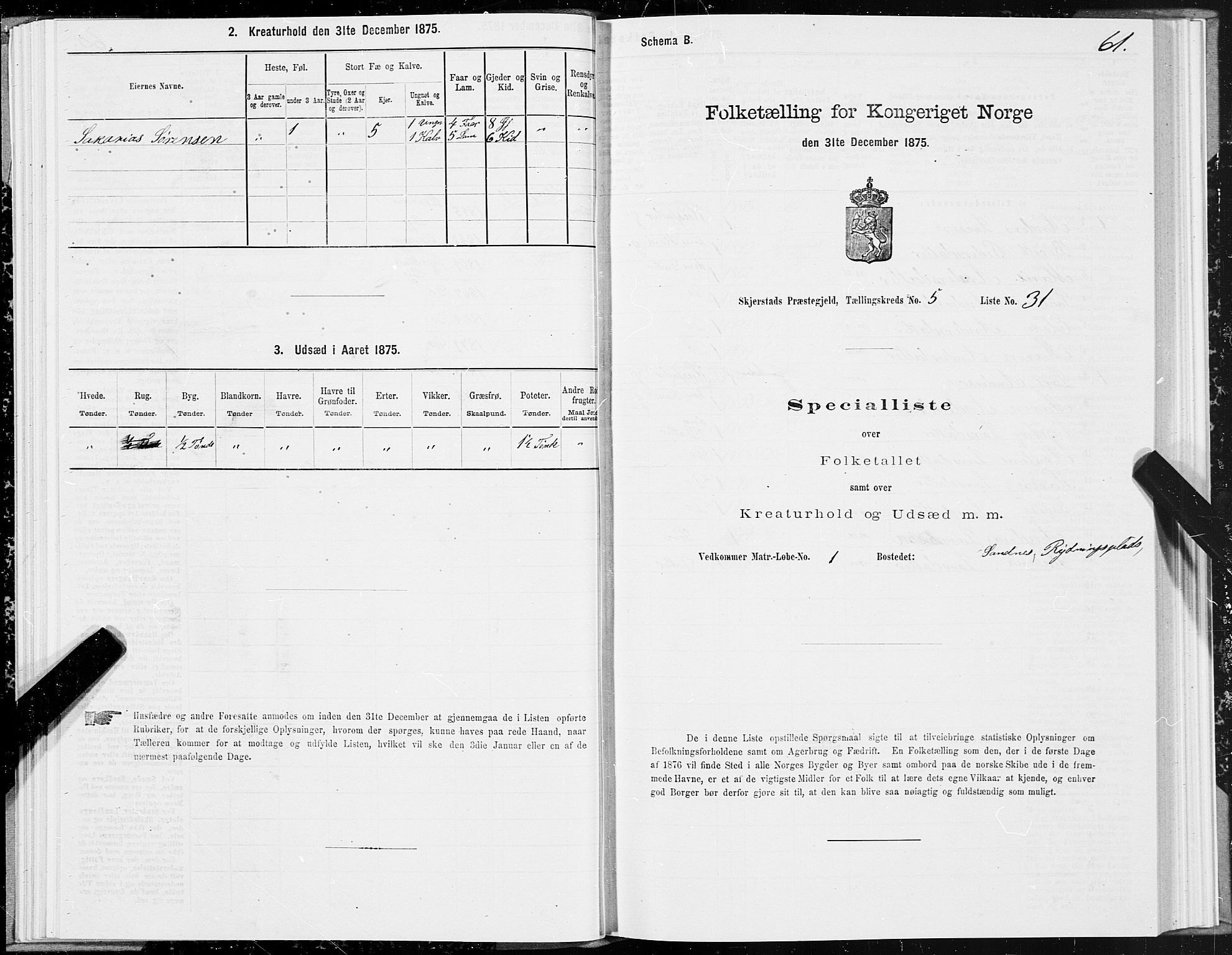 SAT, 1875 census for 1842P Skjerstad, 1875, p. 3061