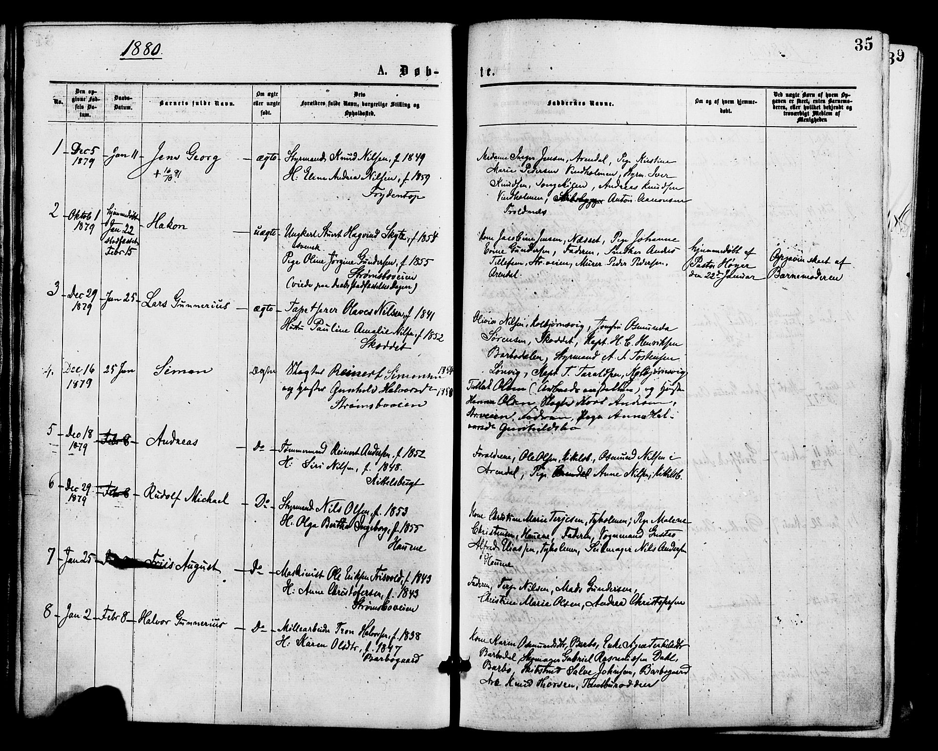 Barbu sokneprestkontor, AV/SAK-1111-0003/F/Fa/L0001: Parish register (official) no. A 1 /1, 1878-1883, p. 35