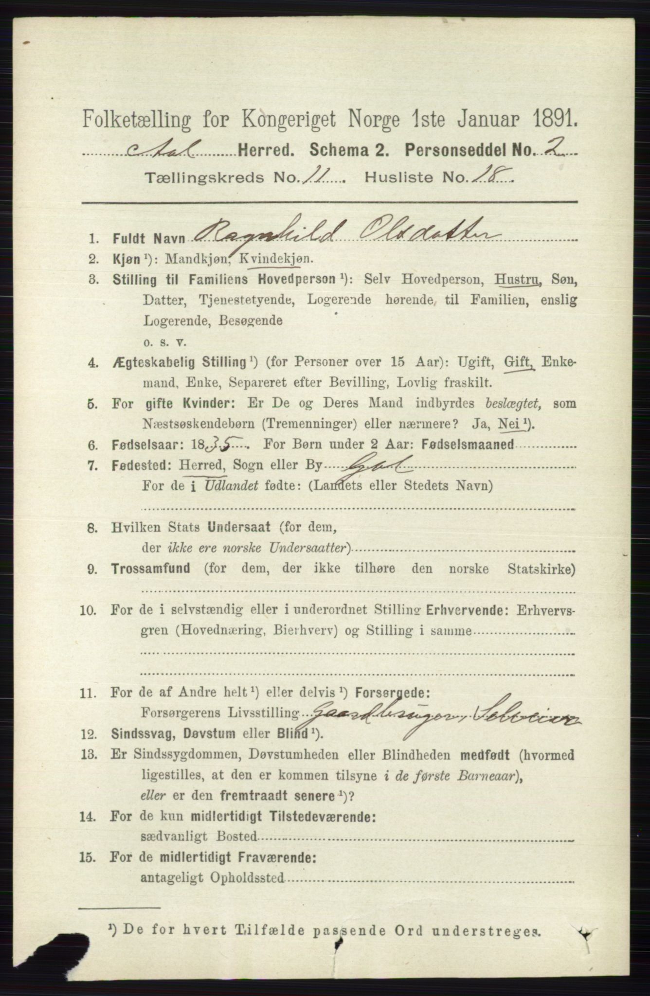 RA, 1891 census for 0619 Ål, 1891, p. 2966