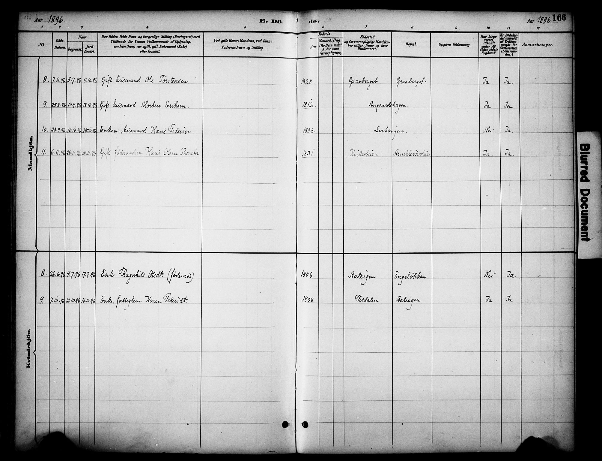 Dovre prestekontor, SAH/PREST-066/H/Ha/Haa/L0003: Parish register (official) no. 3, 1891-1901, p. 166