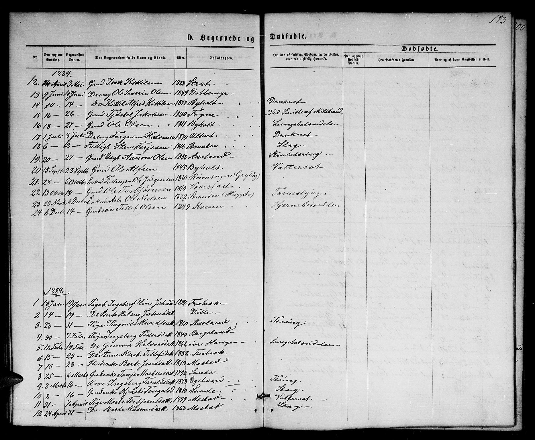 Gjerstad sokneprestkontor, AV/SAK-1111-0014/F/Fb/Fba/L0006: Parish register (copy) no. B 6, 1868-1890, p. 193