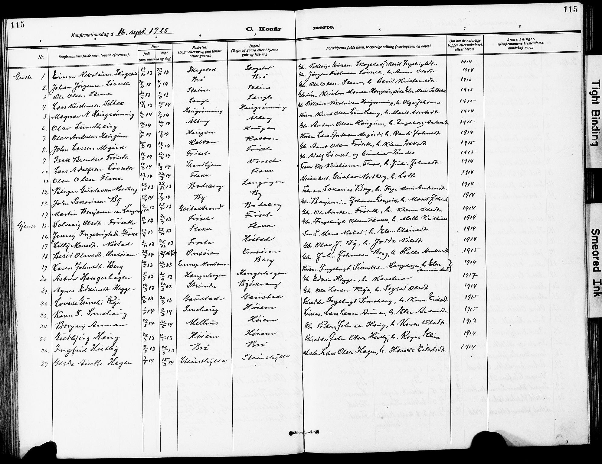 Ministerialprotokoller, klokkerbøker og fødselsregistre - Sør-Trøndelag, SAT/A-1456/612/L0388: Parish register (copy) no. 612C04, 1909-1929, p. 115