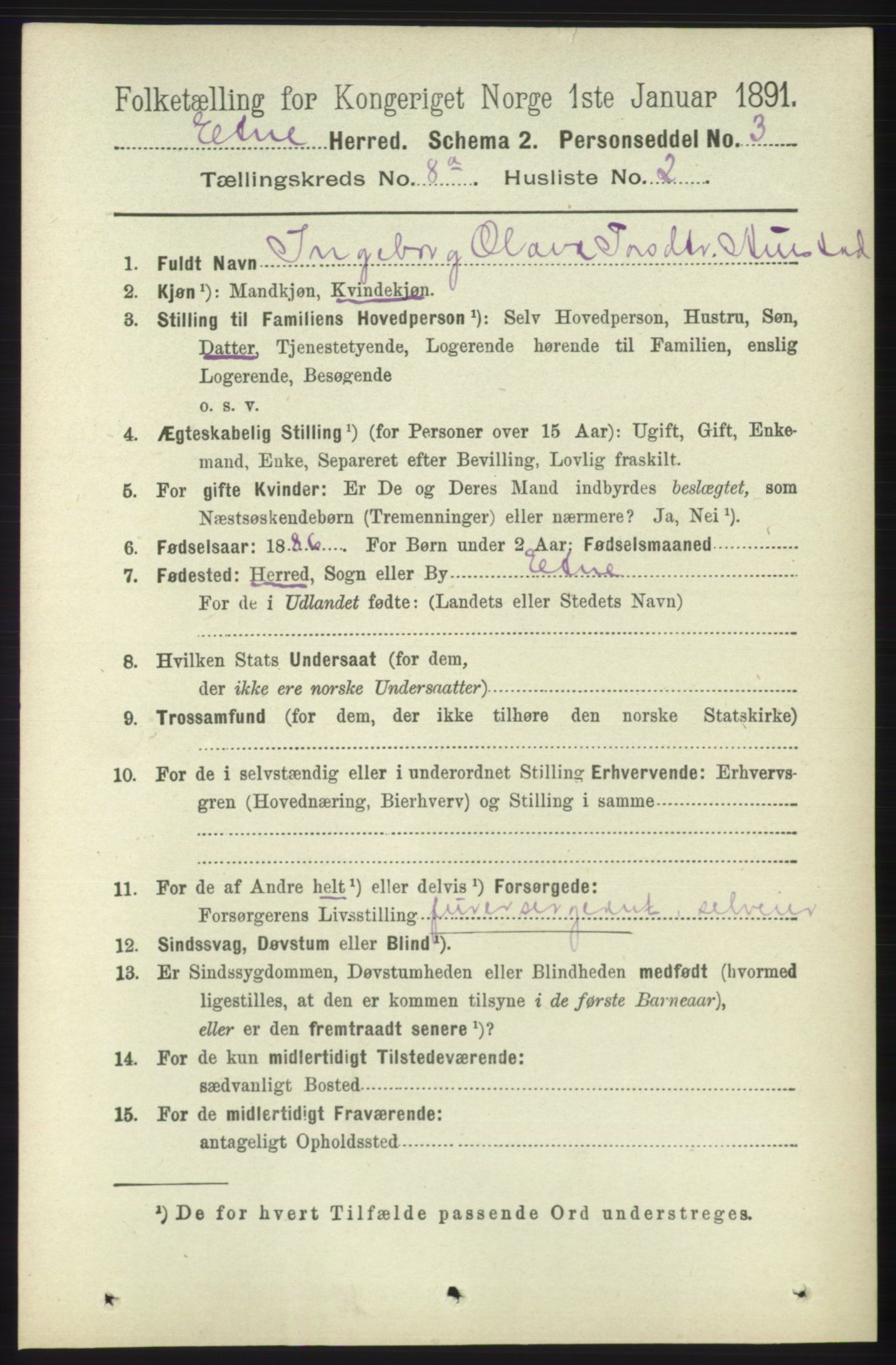 RA, 1891 census for 1211 Etne, 1891, p. 1545