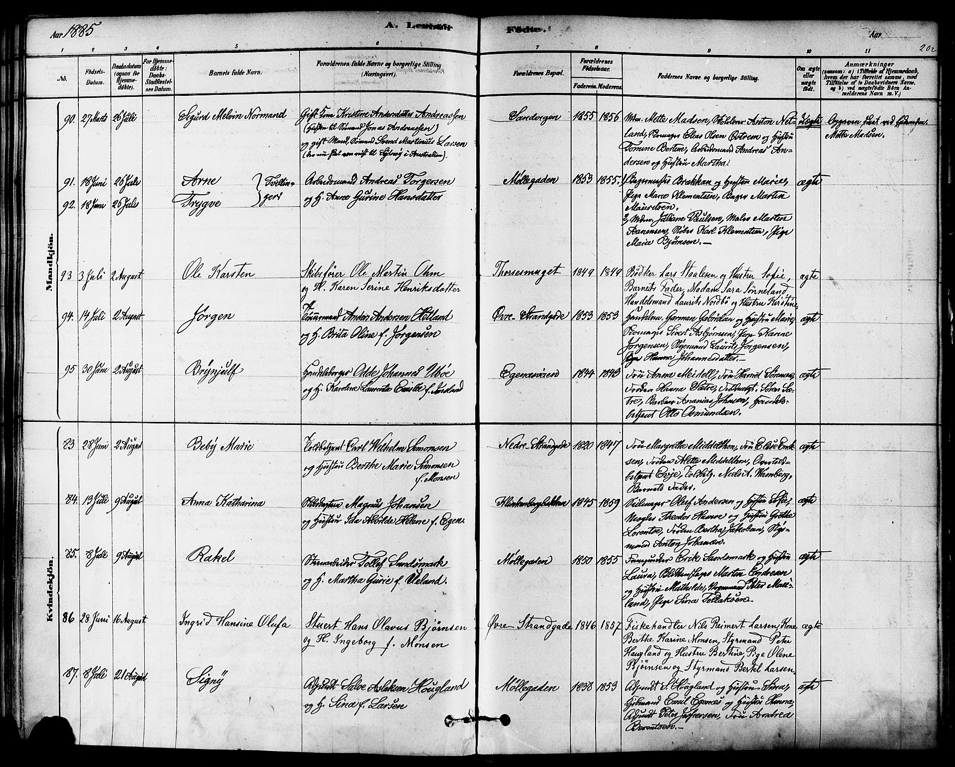 Domkirken sokneprestkontor, SAST/A-101812/001/30/30BA/L0026: Parish register (official) no. A 25, 1878-1889, p. 202