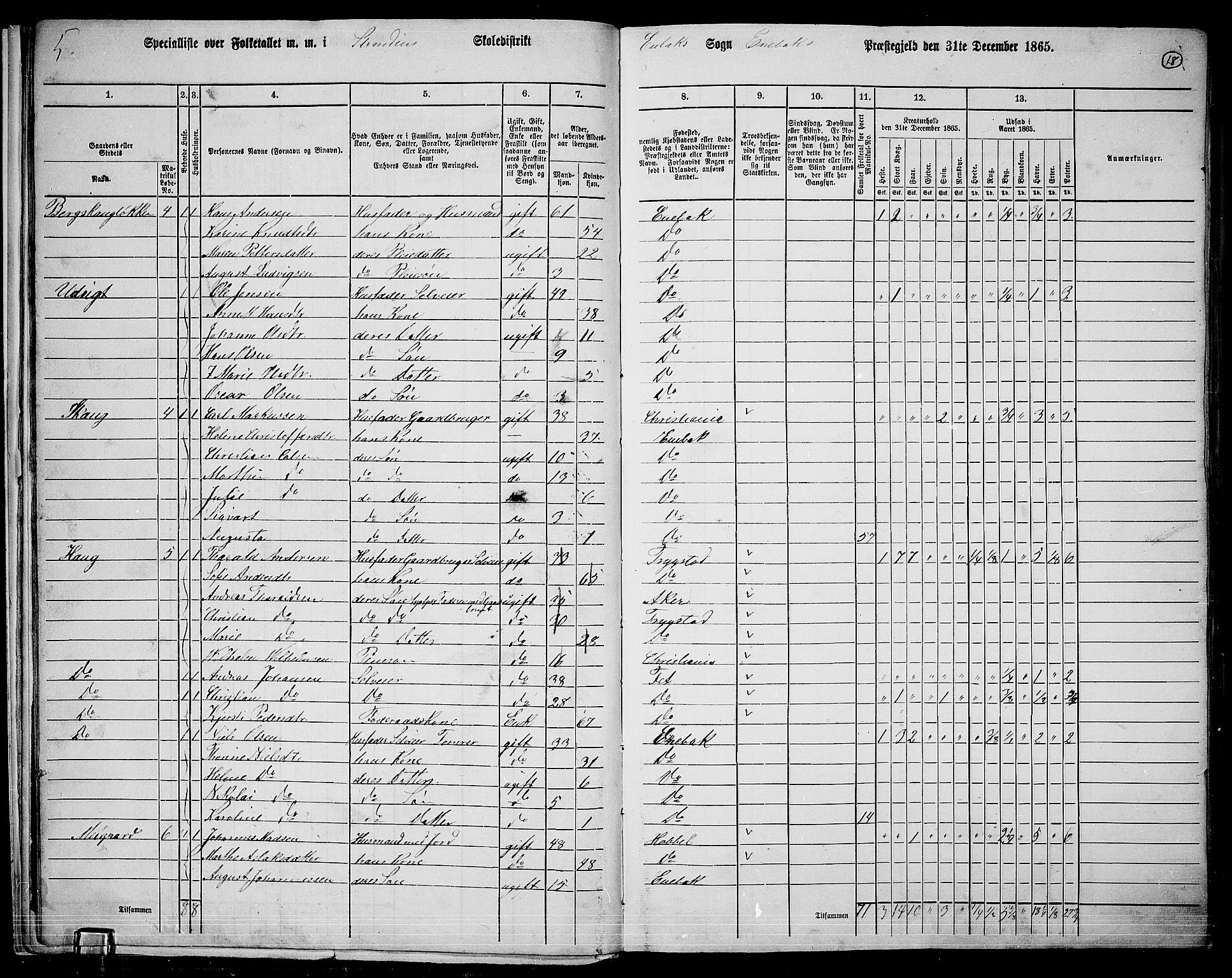 RA, 1865 census for Enebakk, 1865, p. 16