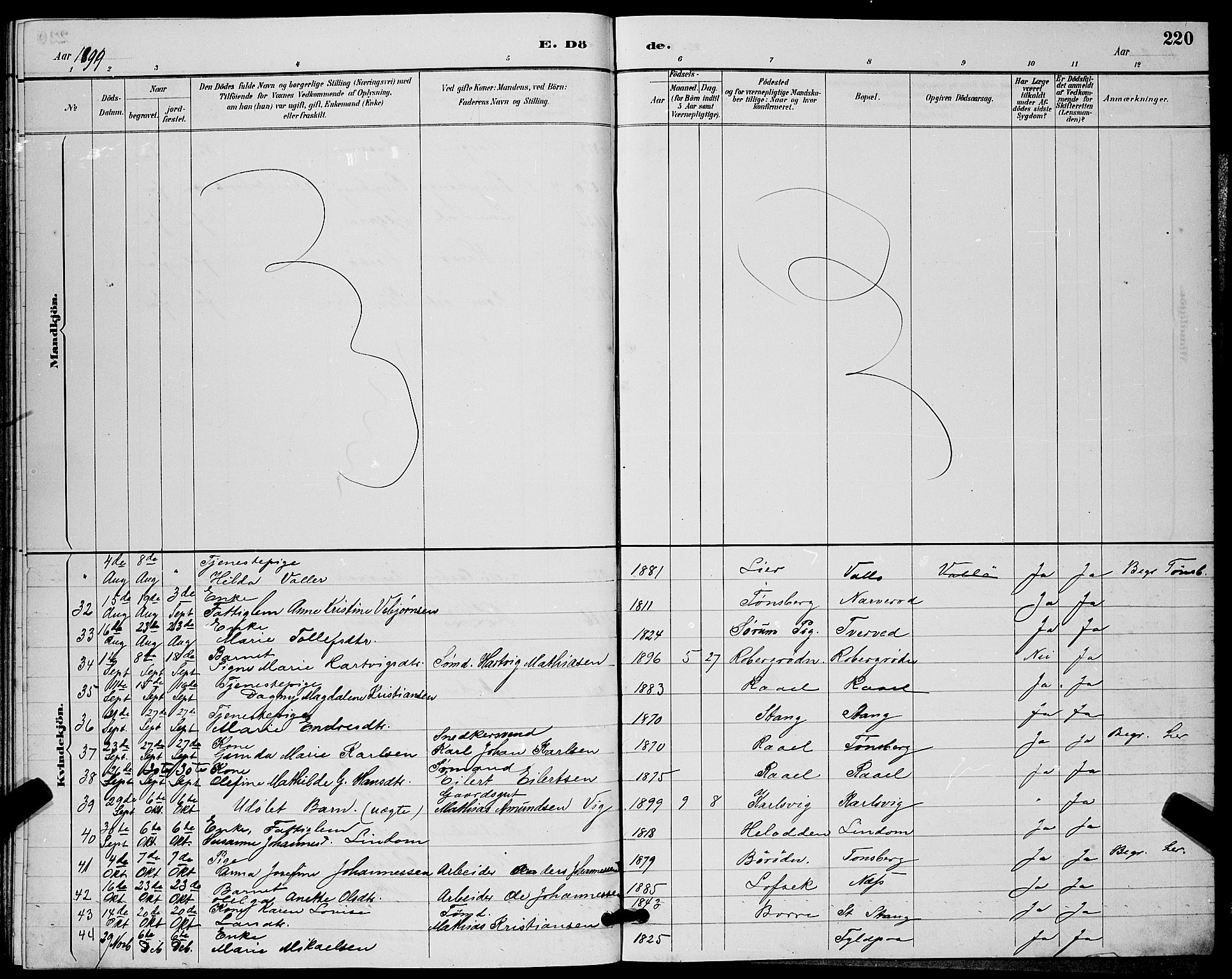 Sem kirkebøker, AV/SAKO-A-5/G/Gb/L0002: Parish register (copy) no. II 2, 1886-1899, p. 220