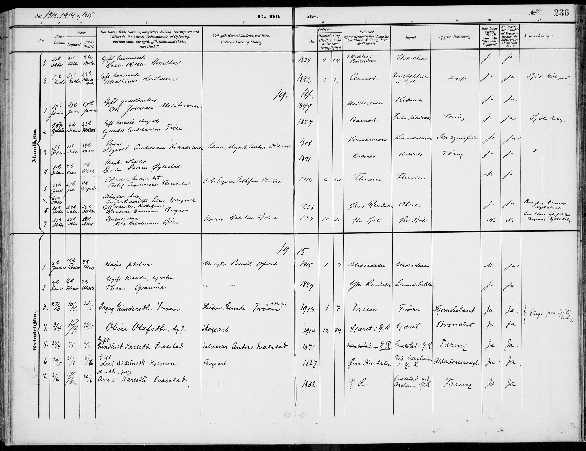 Rendalen prestekontor, SAH/PREST-054/H/Ha/Haa/L0011: Parish register (official) no. 11, 1901-1925, p. 236