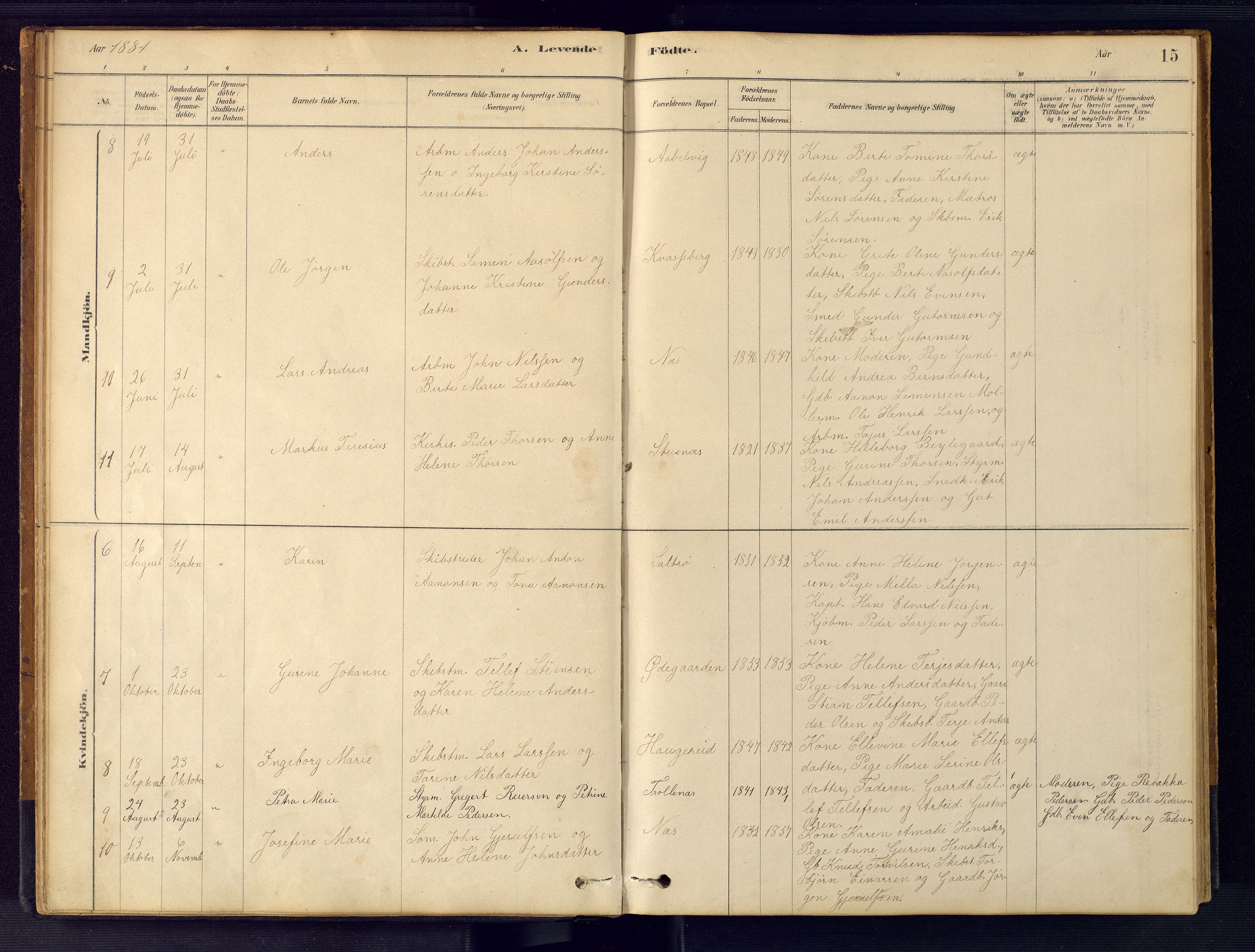 Austre Moland sokneprestkontor, AV/SAK-1111-0001/F/Fb/Fbb/L0001: Parish register (copy) no. B 1, 1878-1904, p. 15