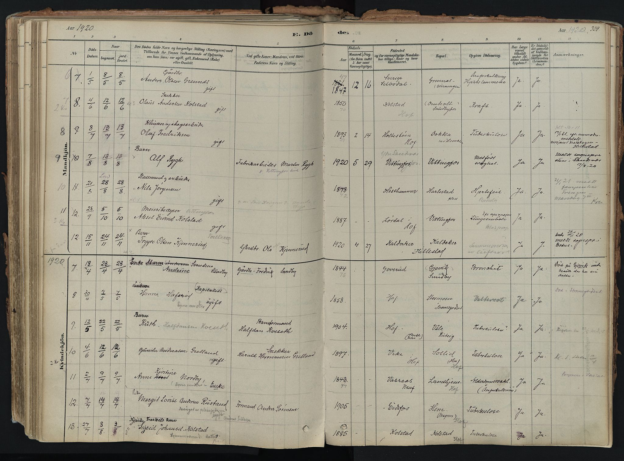 Hof kirkebøker, AV/SAKO-A-64/F/Fa/L0007: Parish register (official) no. I 7, 1878-1940, p. 324