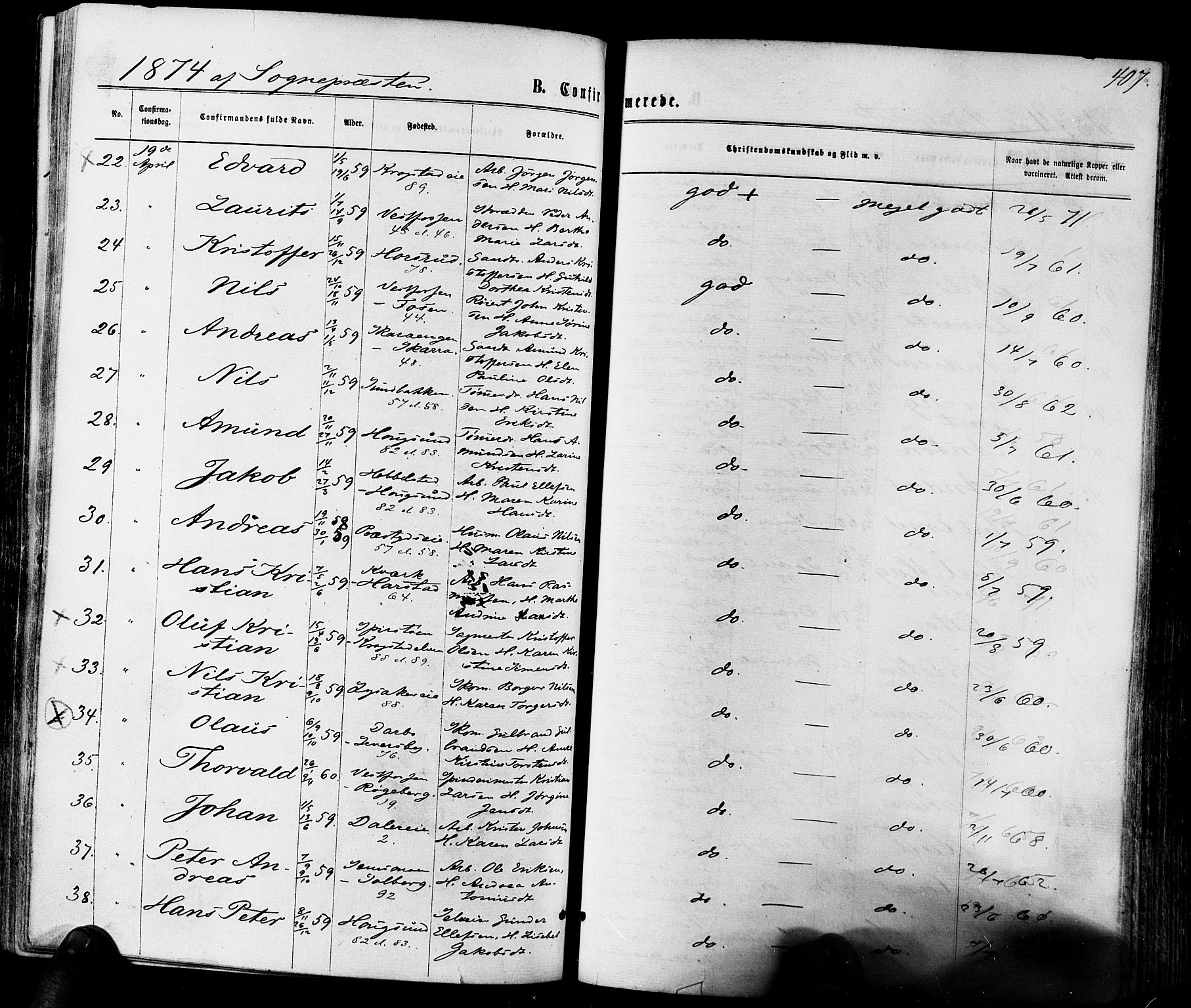 Eiker kirkebøker, AV/SAKO-A-4/F/Fa/L0017: Parish register (official) no. I 17, 1869-1877, p. 407