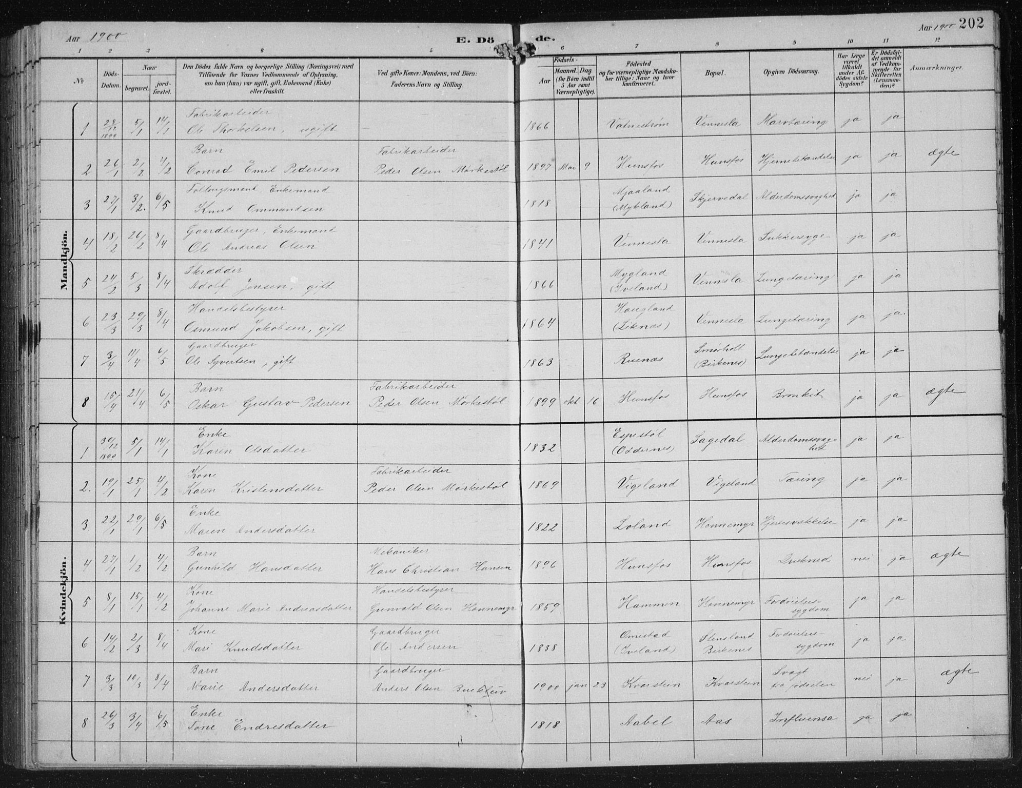 Vennesla sokneprestkontor, AV/SAK-1111-0045/Fb/Fbb/L0004: Parish register (copy) no. B 4, 1893-1902, p. 202