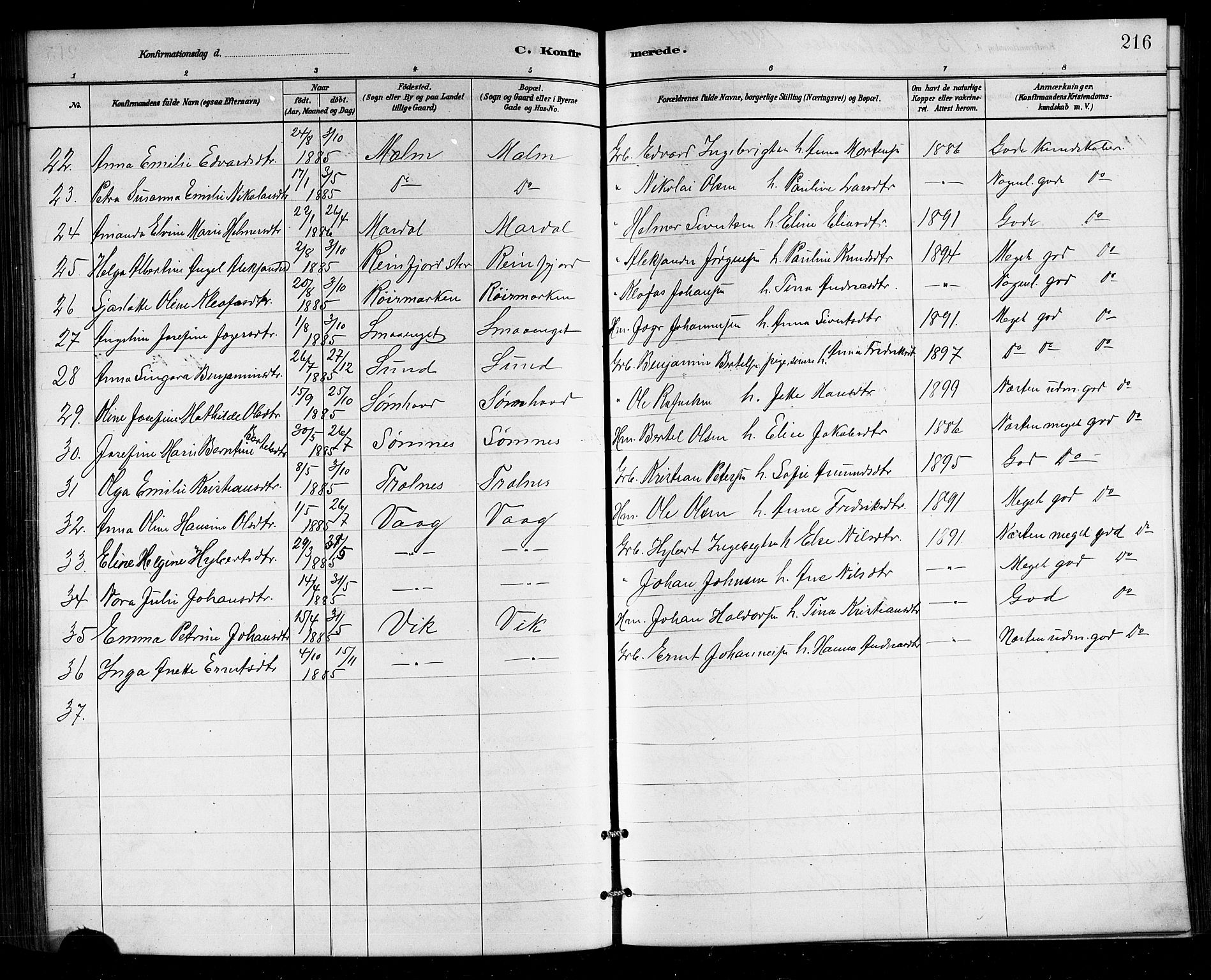 Ministerialprotokoller, klokkerbøker og fødselsregistre - Nordland, SAT/A-1459/812/L0188: Parish register (copy) no. 812C06, 1884-1912, p. 216