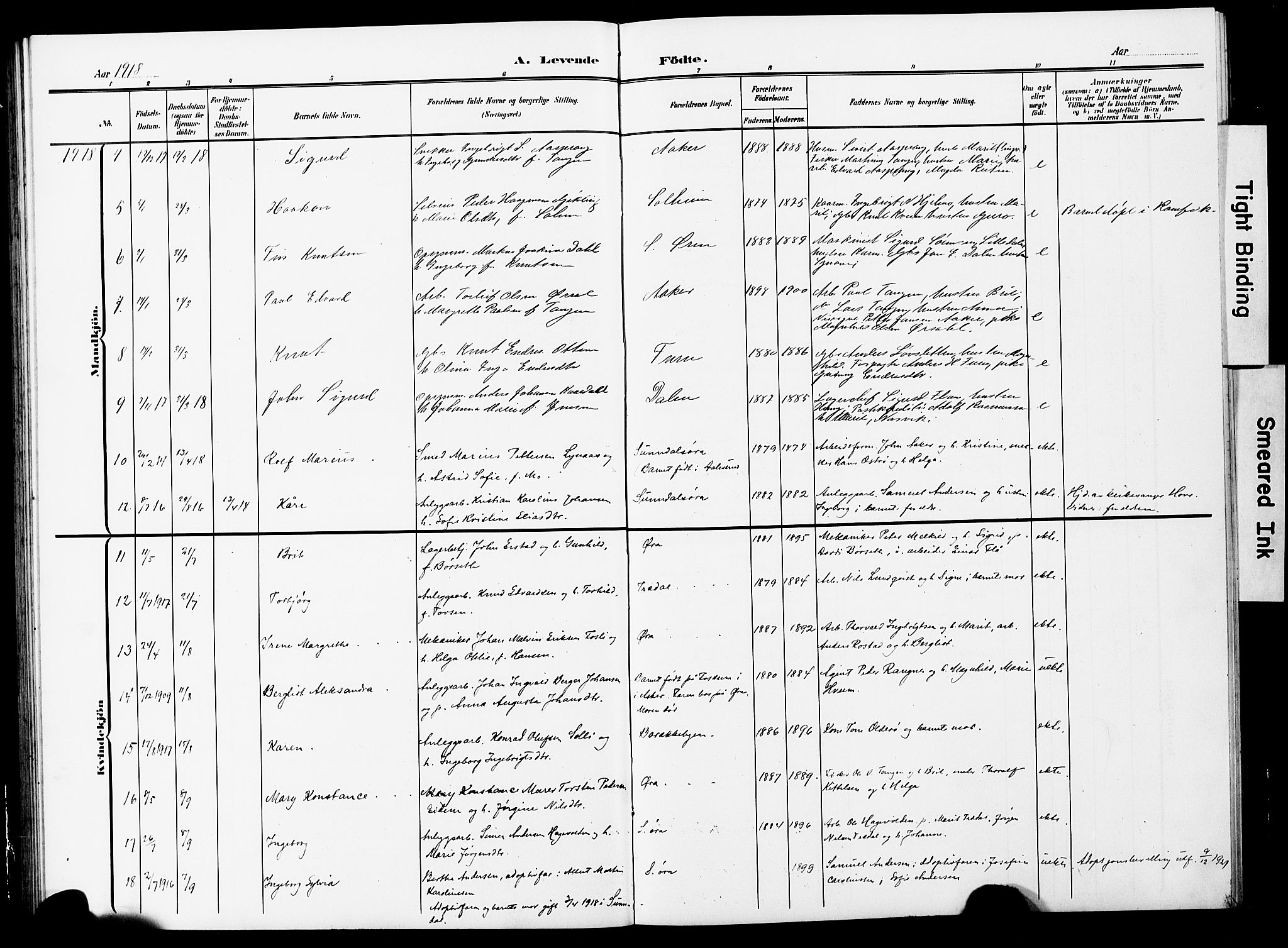 Ministerialprotokoller, klokkerbøker og fødselsregistre - Møre og Romsdal, AV/SAT-A-1454/590/L1017: Parish register (copy) no. 590C02, 1869-1931