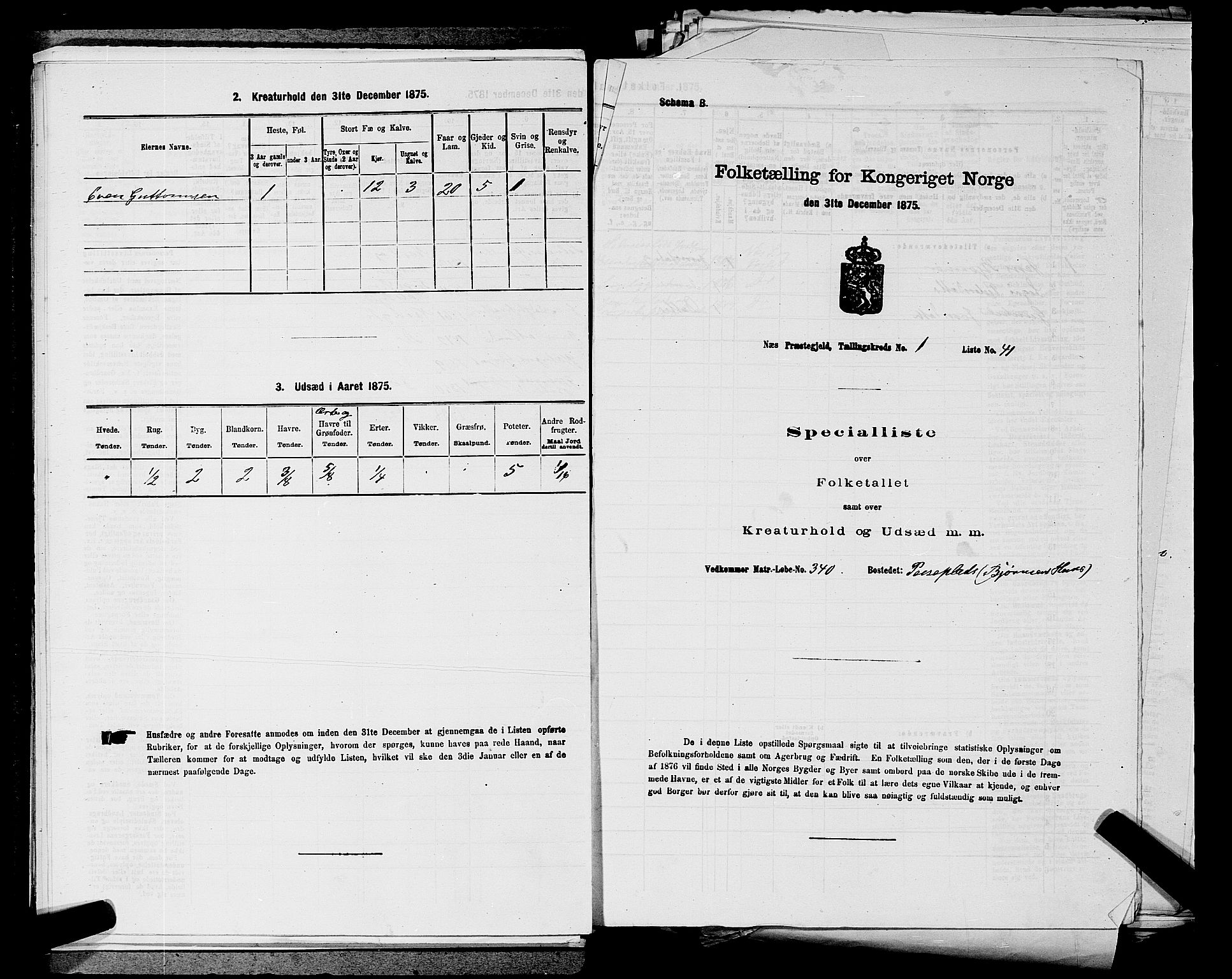 SAKO, 1875 census for 0616P Nes, 1875, p. 269