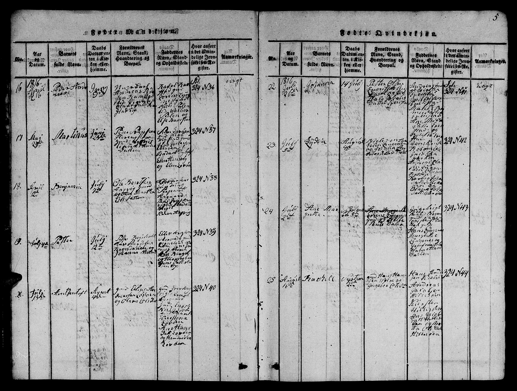 Ministerialprotokoller, klokkerbøker og fødselsregistre - Nord-Trøndelag, AV/SAT-A-1458/784/L0679: Parish register (copy) no. 784C01 /1, 1816-1822, p. 5