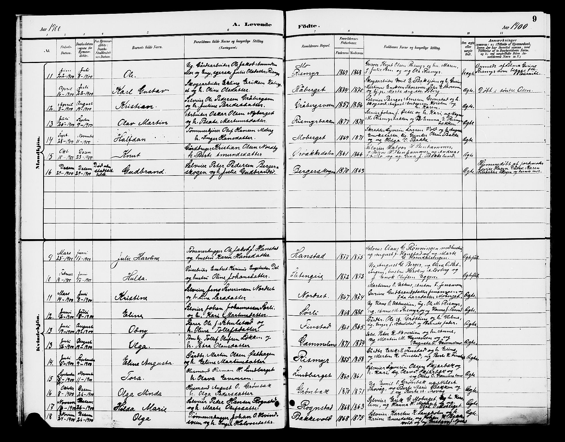 Elverum prestekontor, AV/SAH-PREST-044/H/Ha/Hab/L0007: Parish register (copy) no. 7, 1896-1914, p. 9