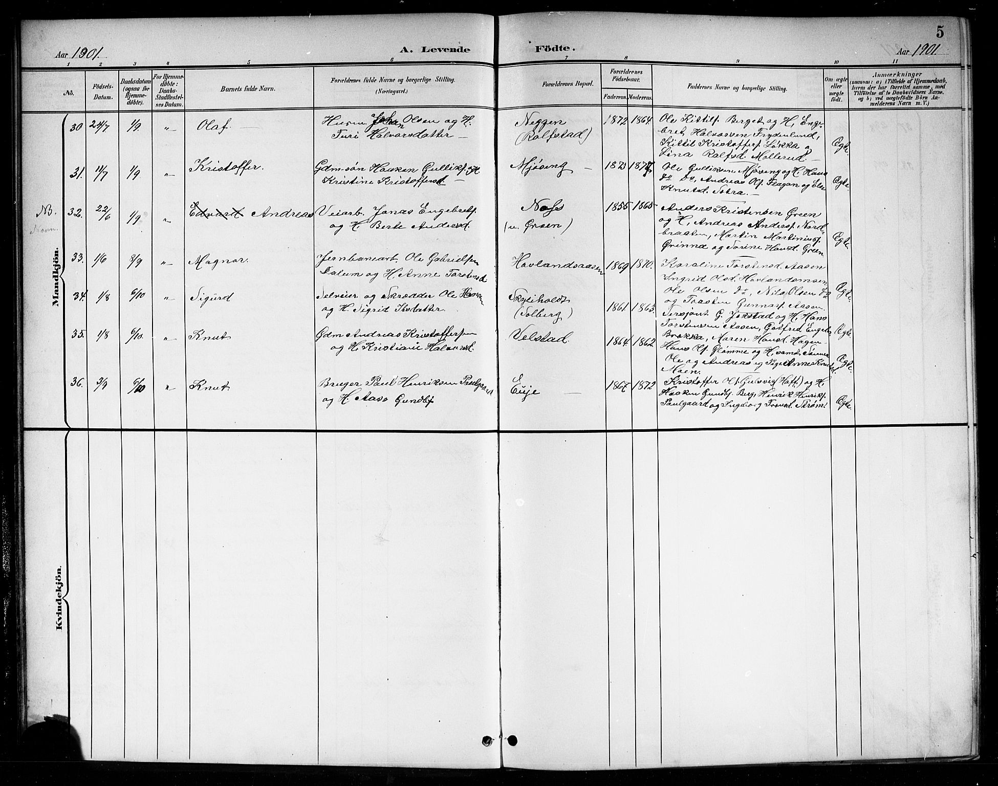 Sigdal kirkebøker, SAKO/A-245/G/Ga/L0006: Parish register (copy) no. I 6, 1901-1916, p. 5