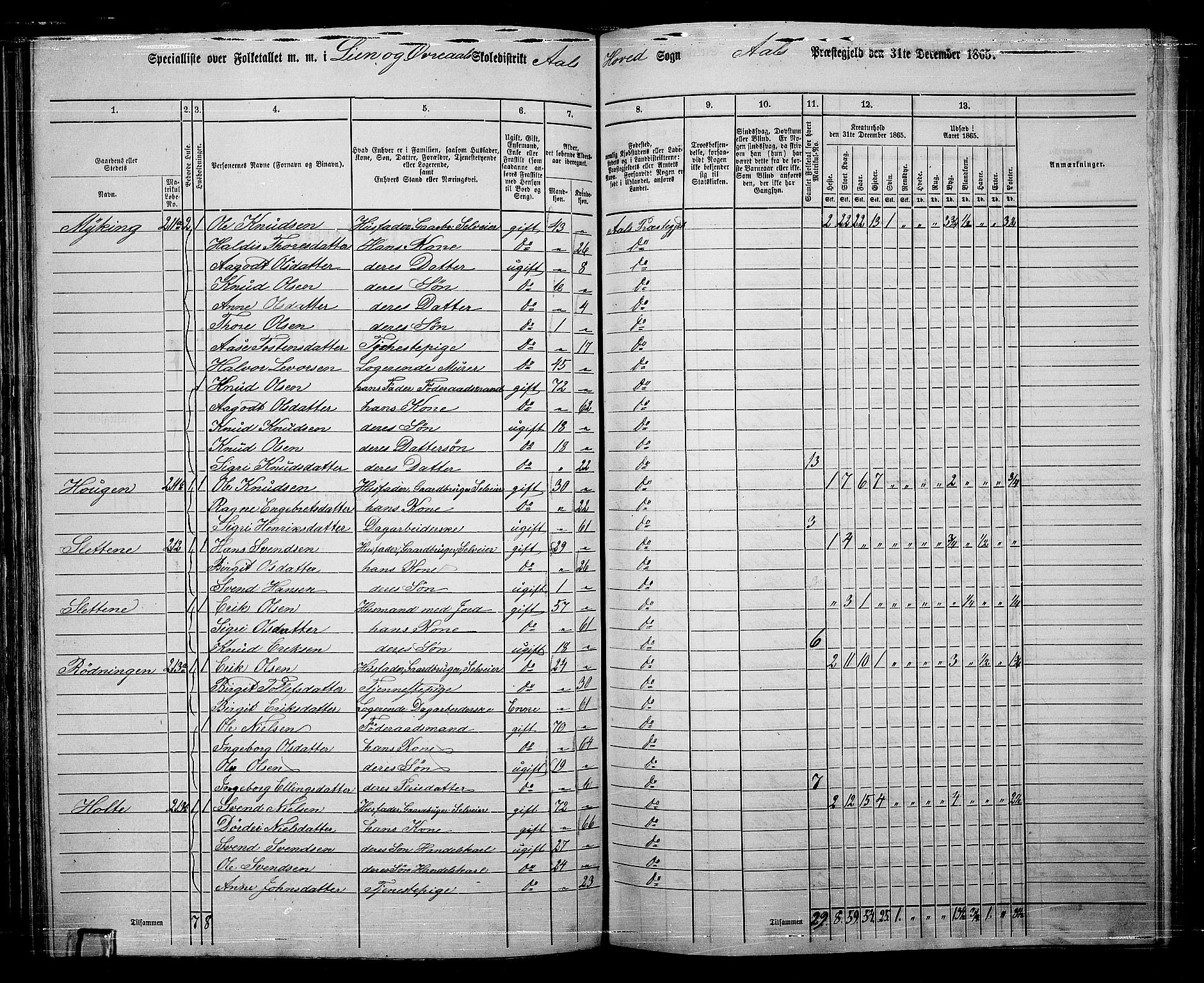 RA, 1865 census for Ål, 1865, p. 126