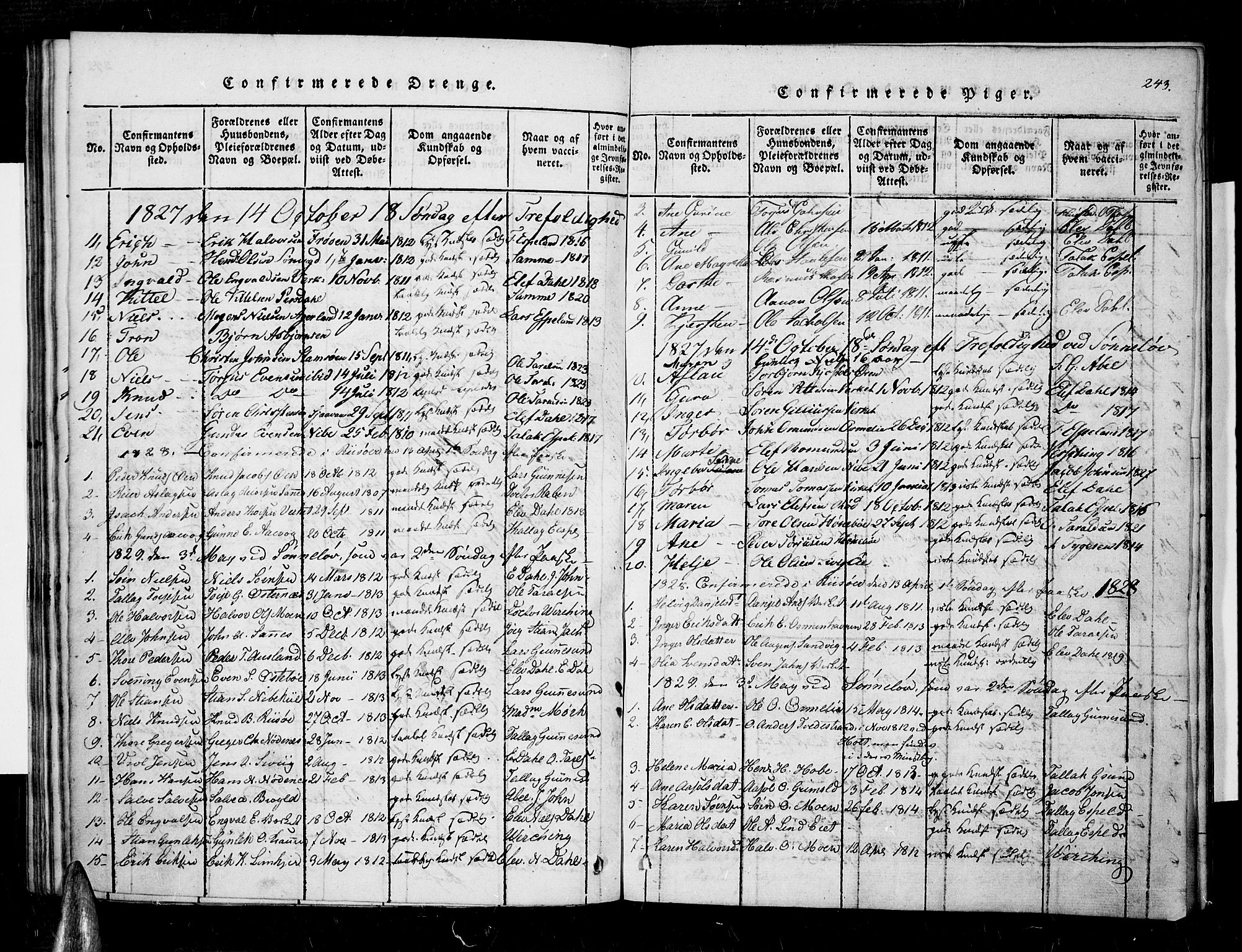 Søndeled sokneprestkontor, SAK/1111-0038/F/Fa/L0001: Parish register (official) no. A 1, 1816-1838, p. 243