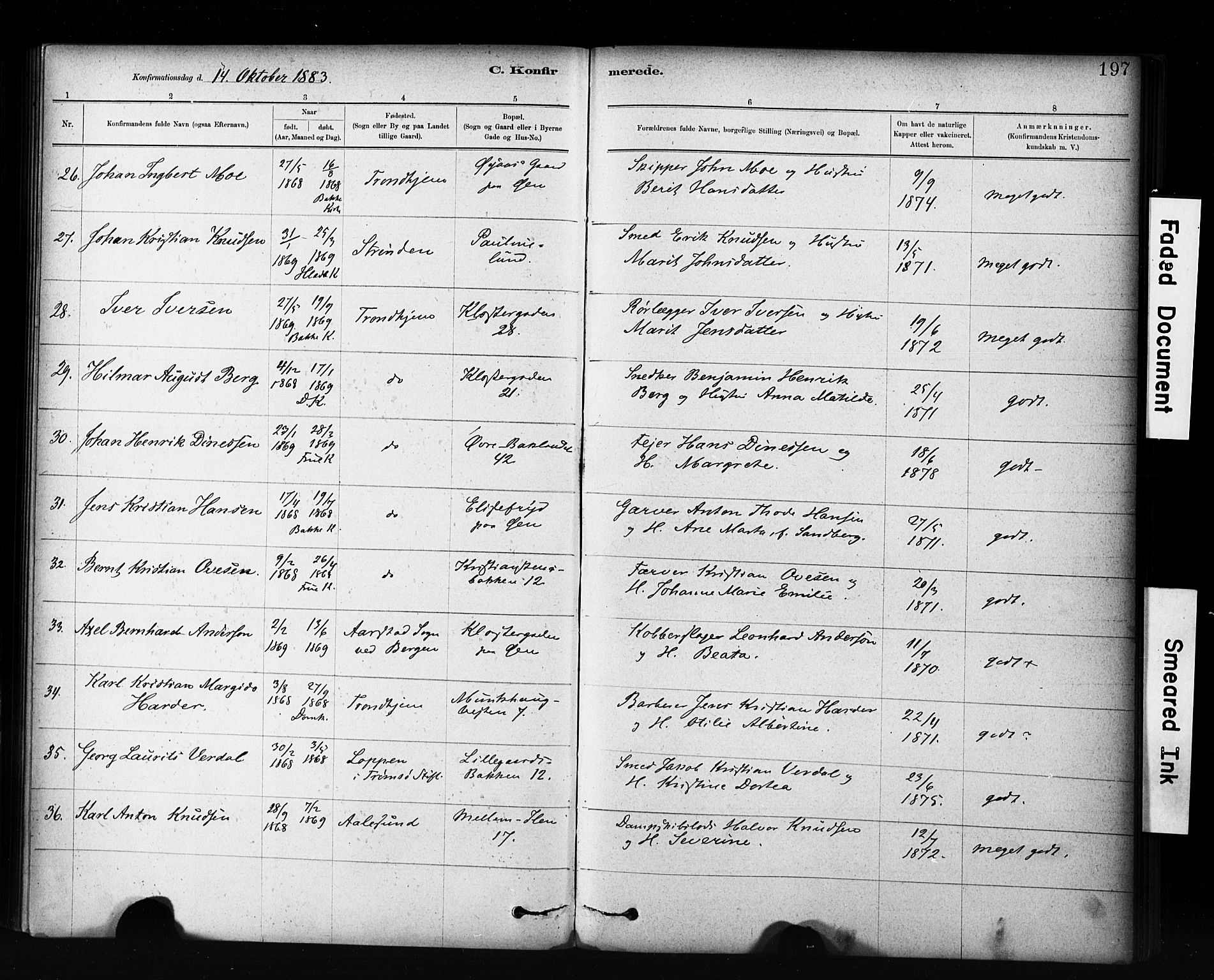 Ministerialprotokoller, klokkerbøker og fødselsregistre - Sør-Trøndelag, AV/SAT-A-1456/601/L0071: Curate's parish register no. 601B04, 1882-1931, p. 197